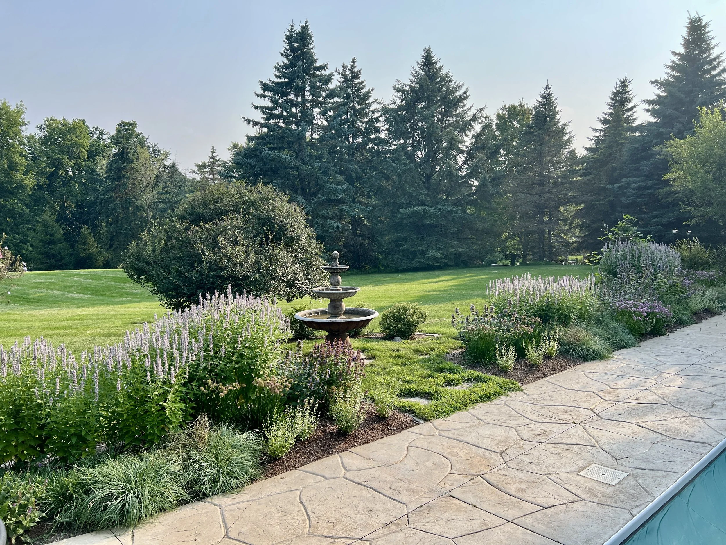 robust perenail garden with flowers and grasses and a large fountain