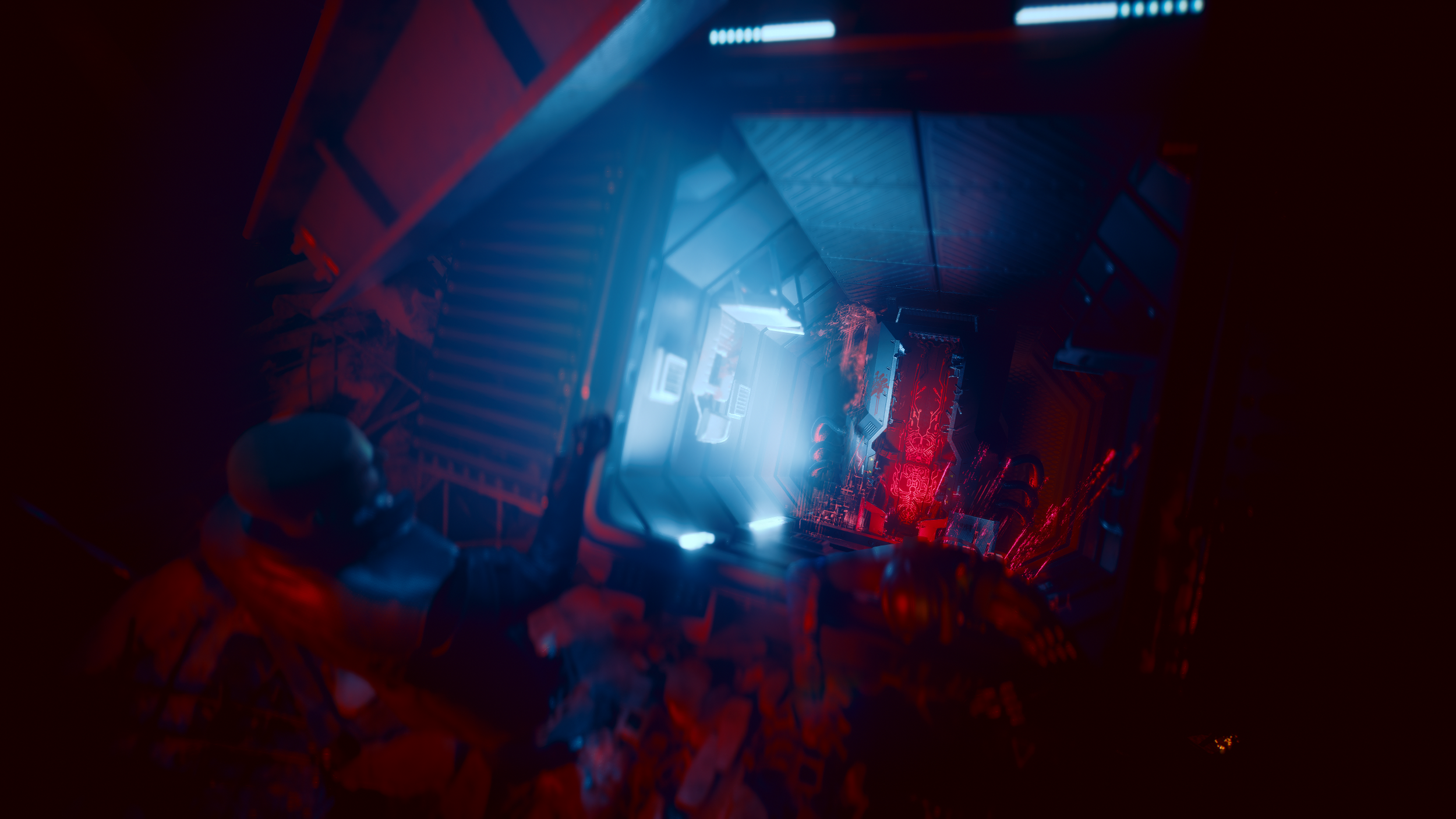 photomode_24122024_164444.png