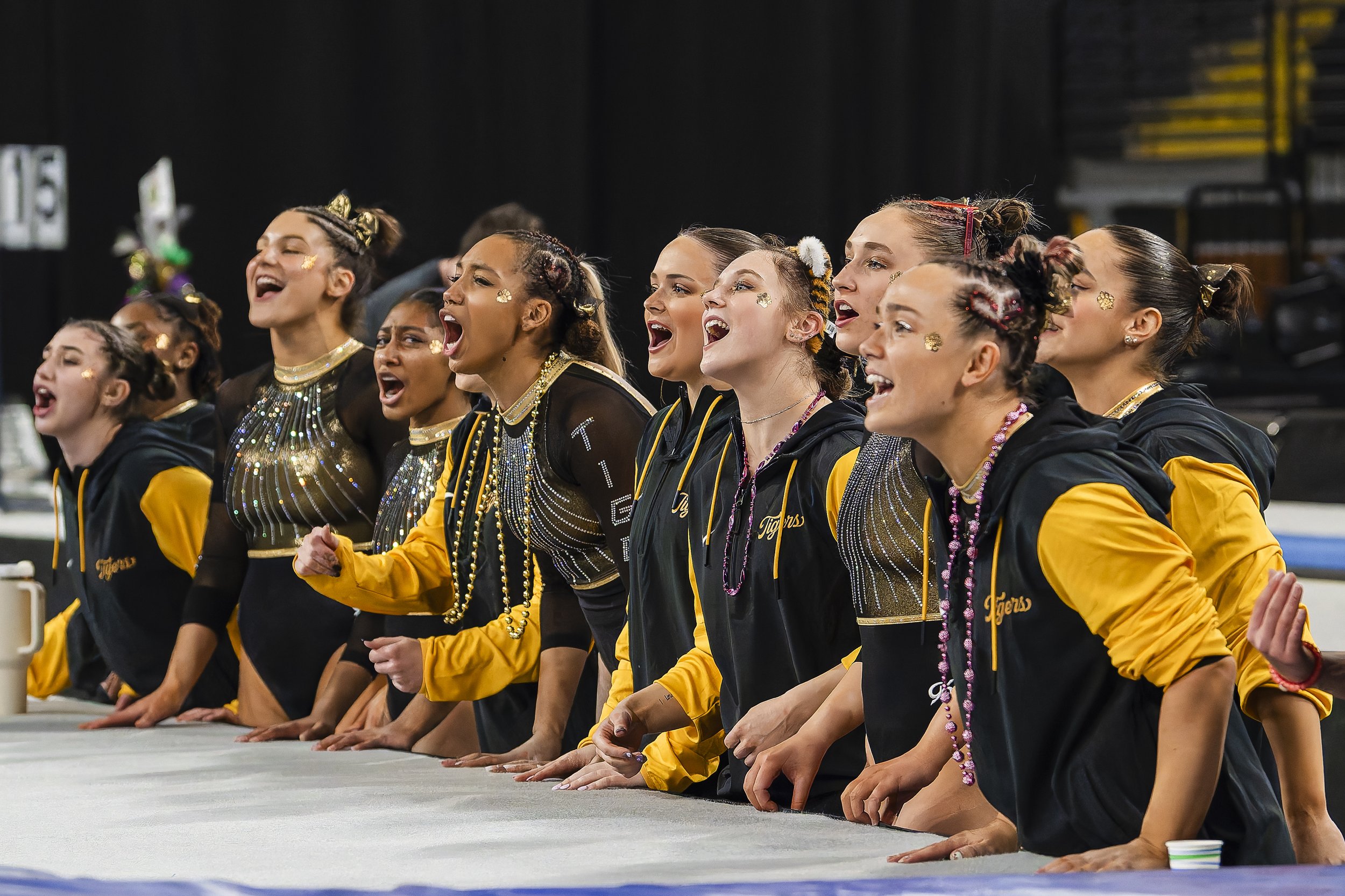 Mizzou Gymnastics-36.jpg