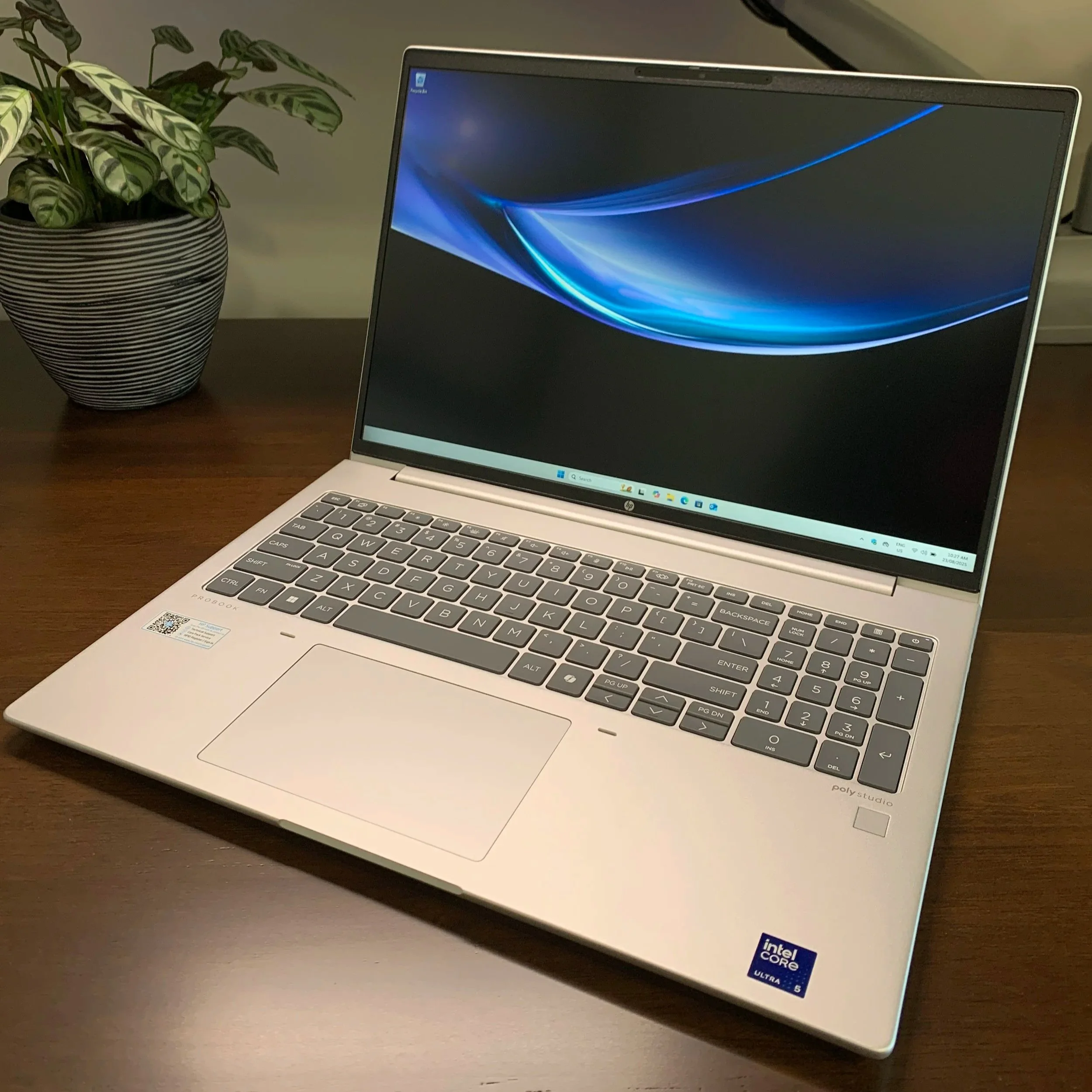 A new silver laptop with a large screen and a black keyboard on a wooden desk, next to a potted plant with green patterned leaves.