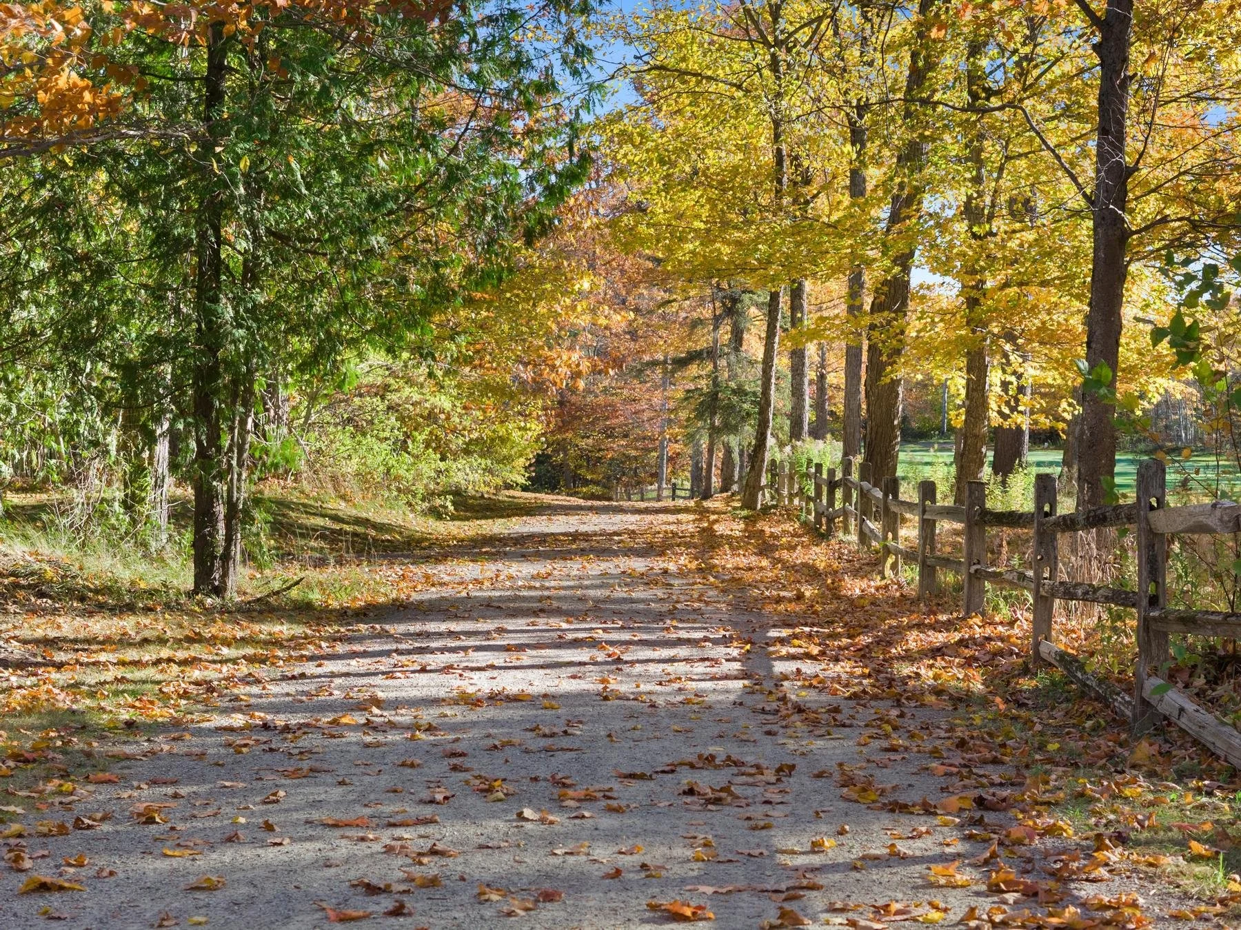 DJI_20261020111004_0025_D.jpg