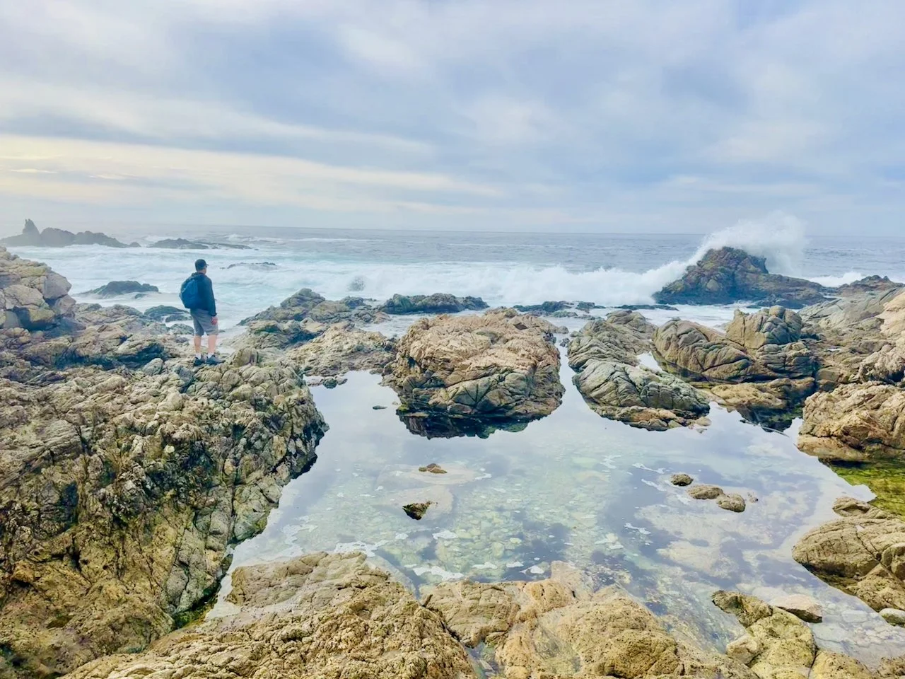 From Cliffs to Caves: Monterey and Pinnacles National Park