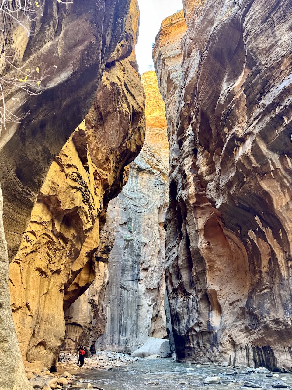 FullSizeRender 33.jpeg