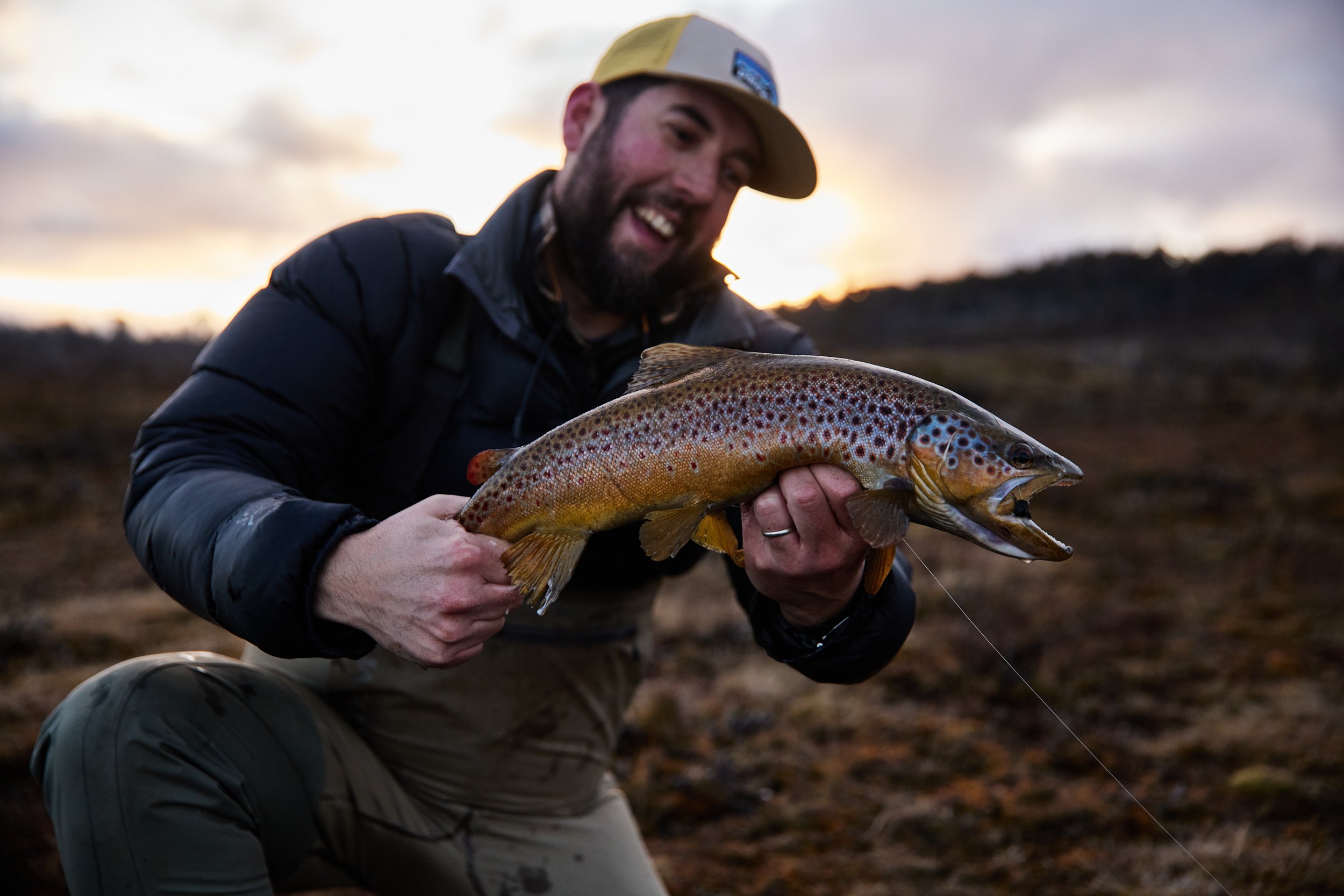 Wild Brown trout