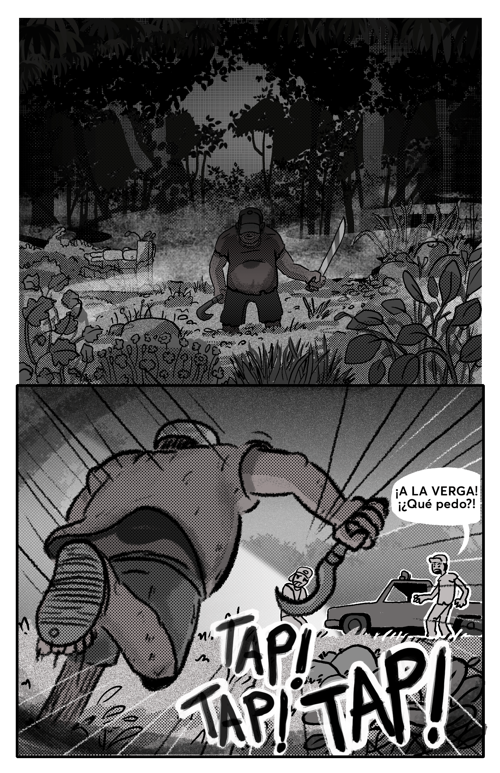 WIRO_22.png