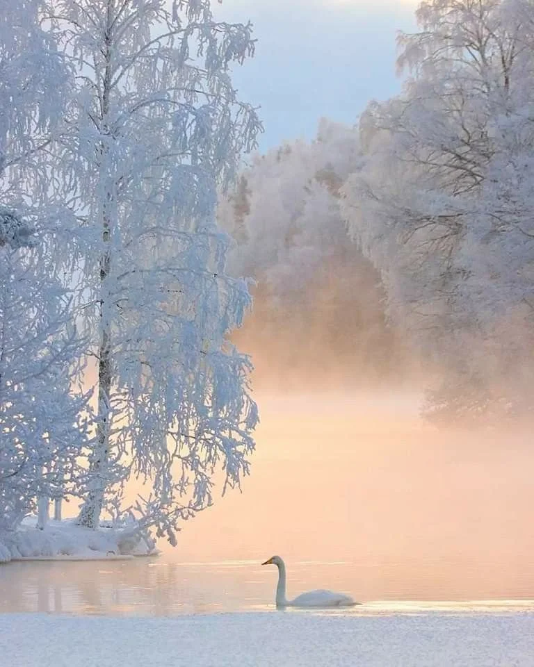 The Berkshires Restorative Retreat 