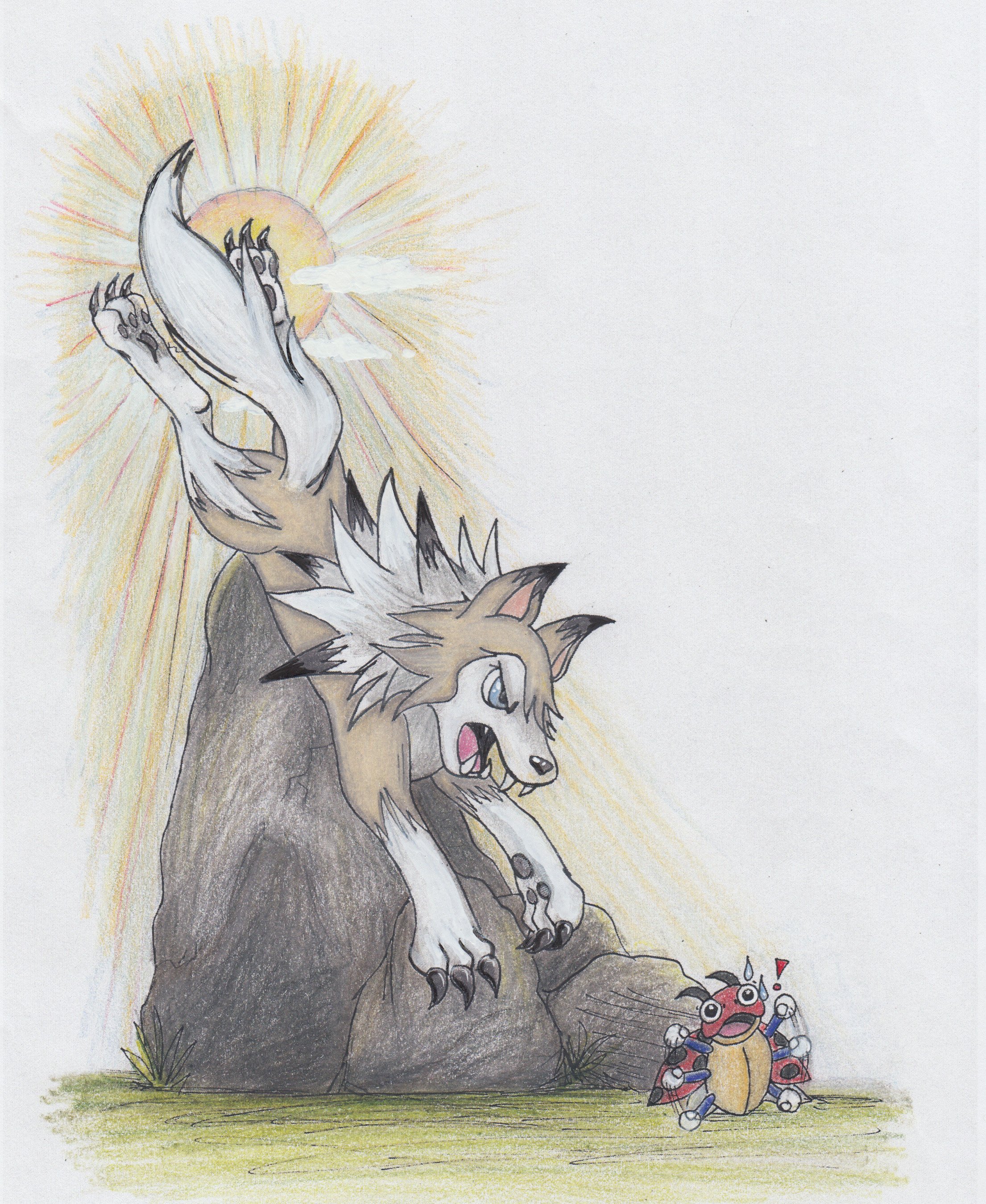 Lycanroc & Ledyba