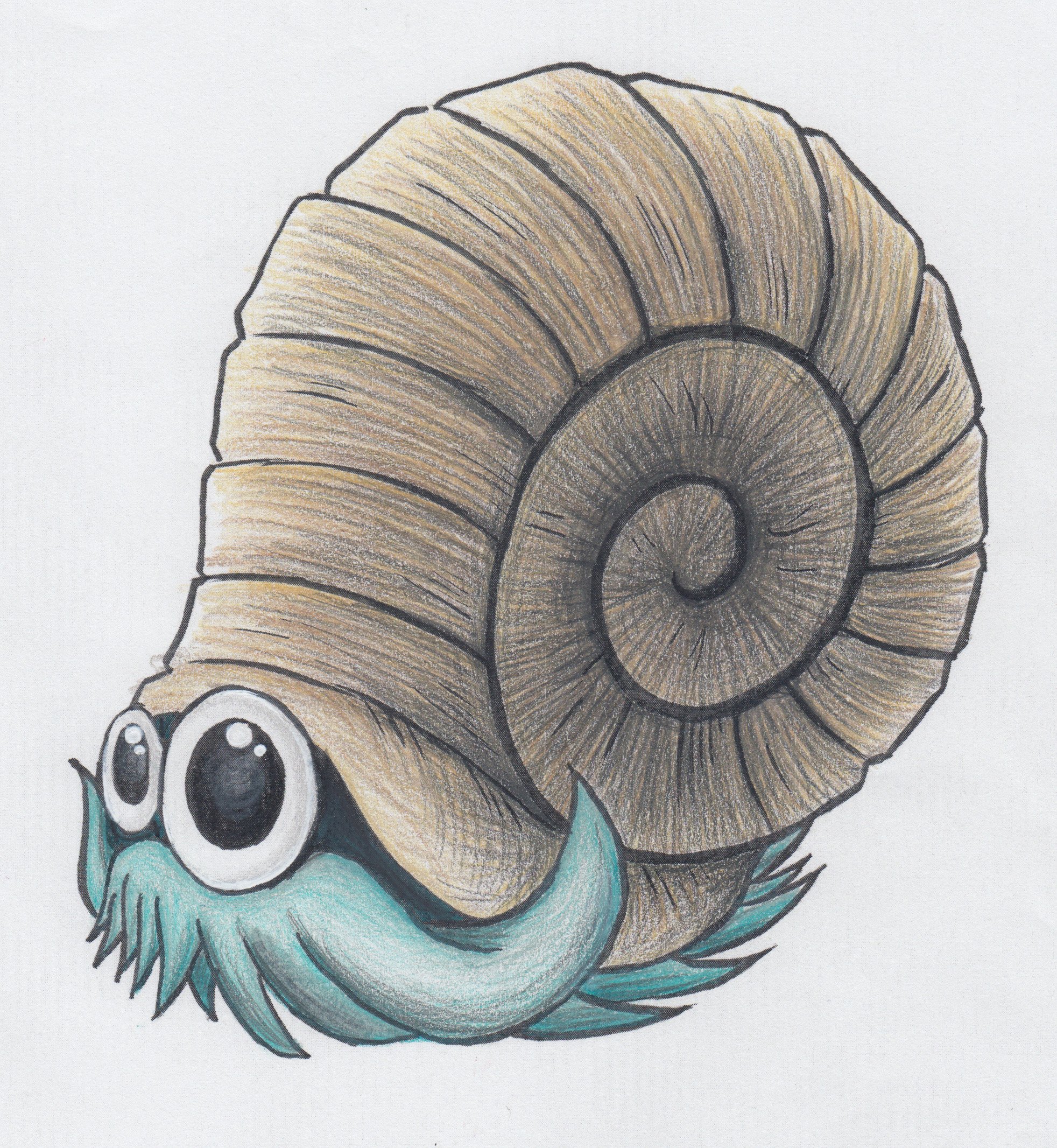 Omanyte