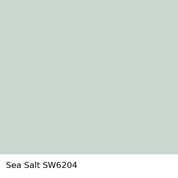 Sea_Salt_SW6204.png