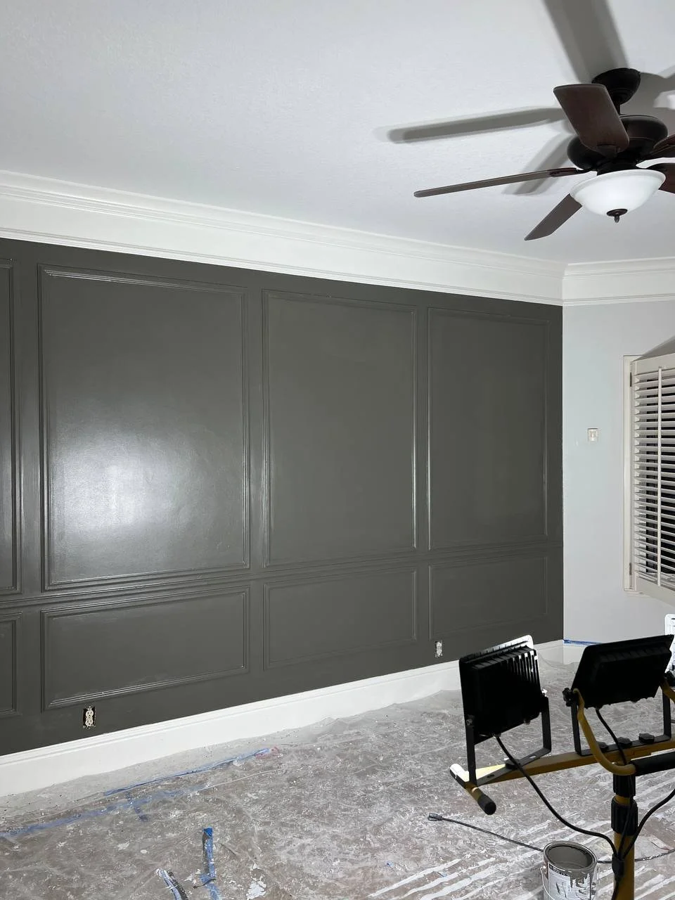 Riverview Tampa Accent Wall.jpeg