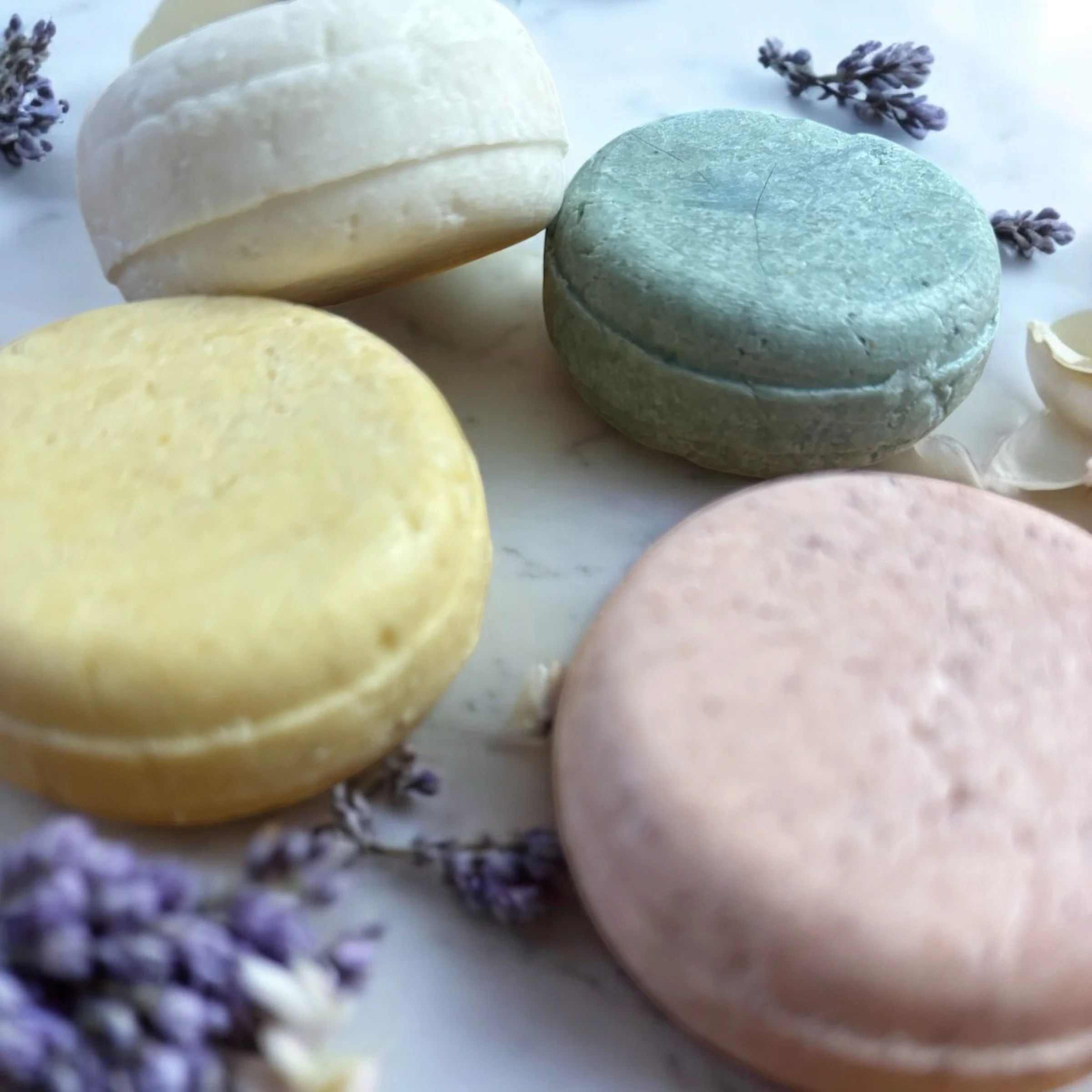 Shampoo Bars.jpg
