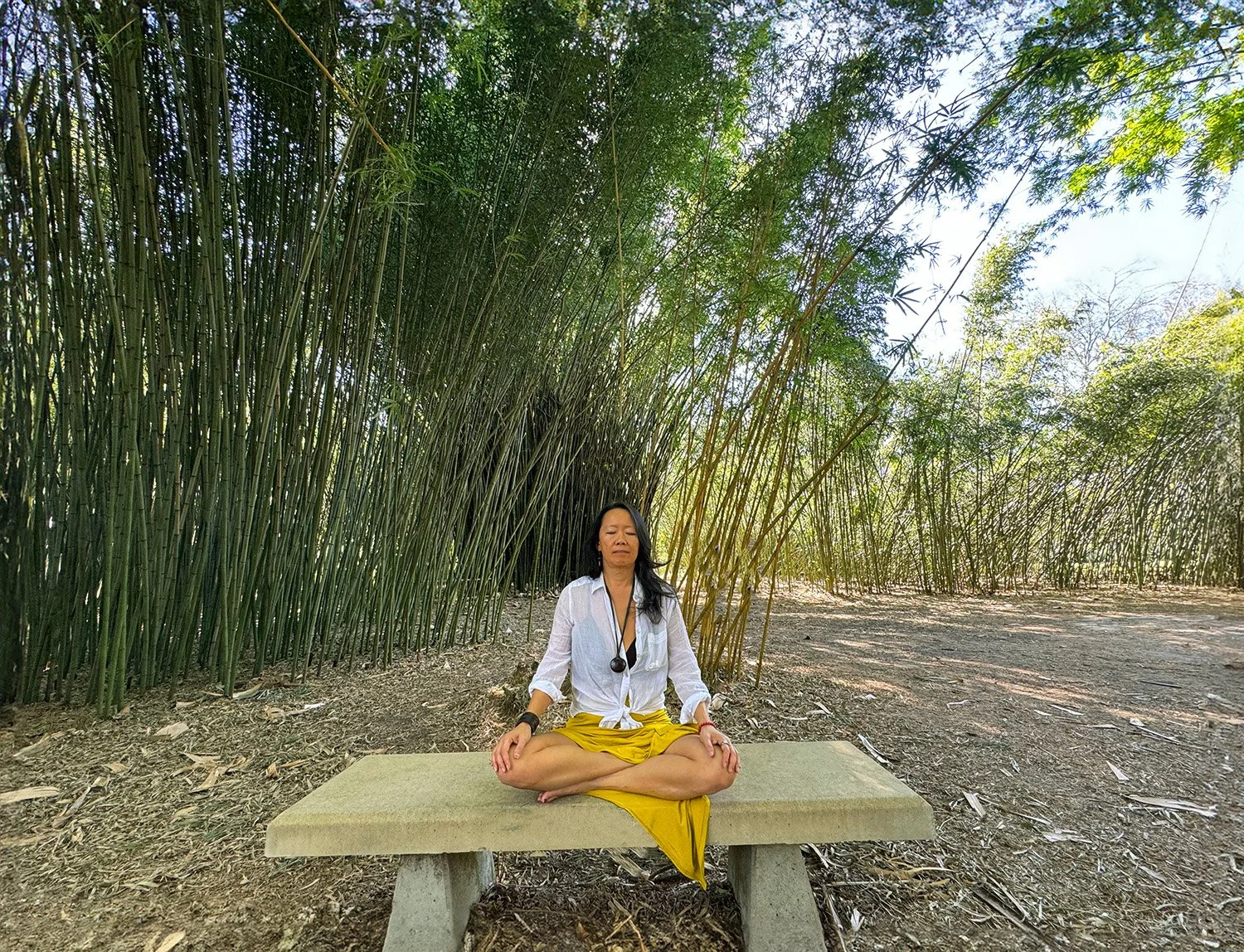 Tan - AWExpedition Coach