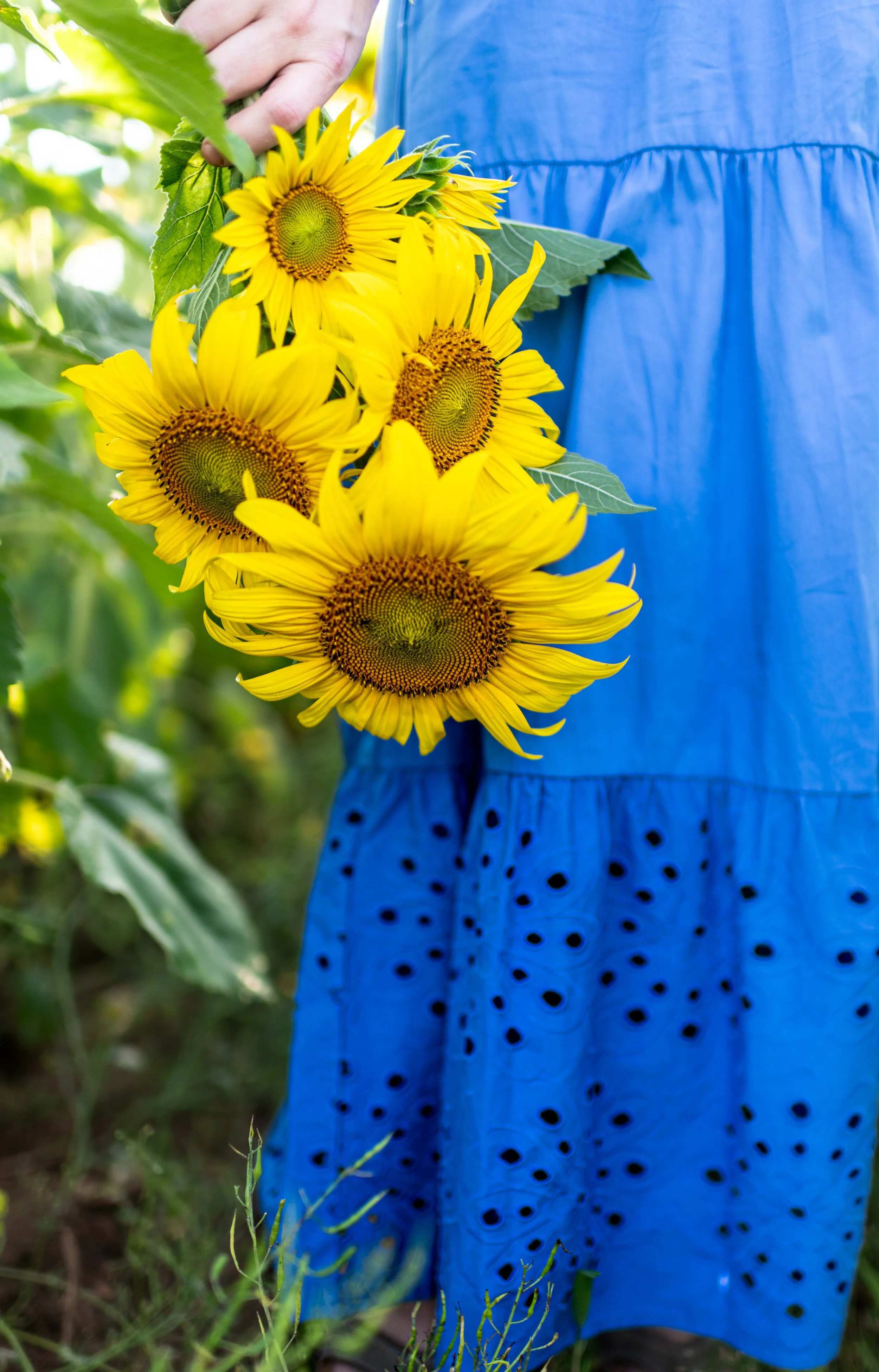 Sush - Valerie B Photography-718.jpg