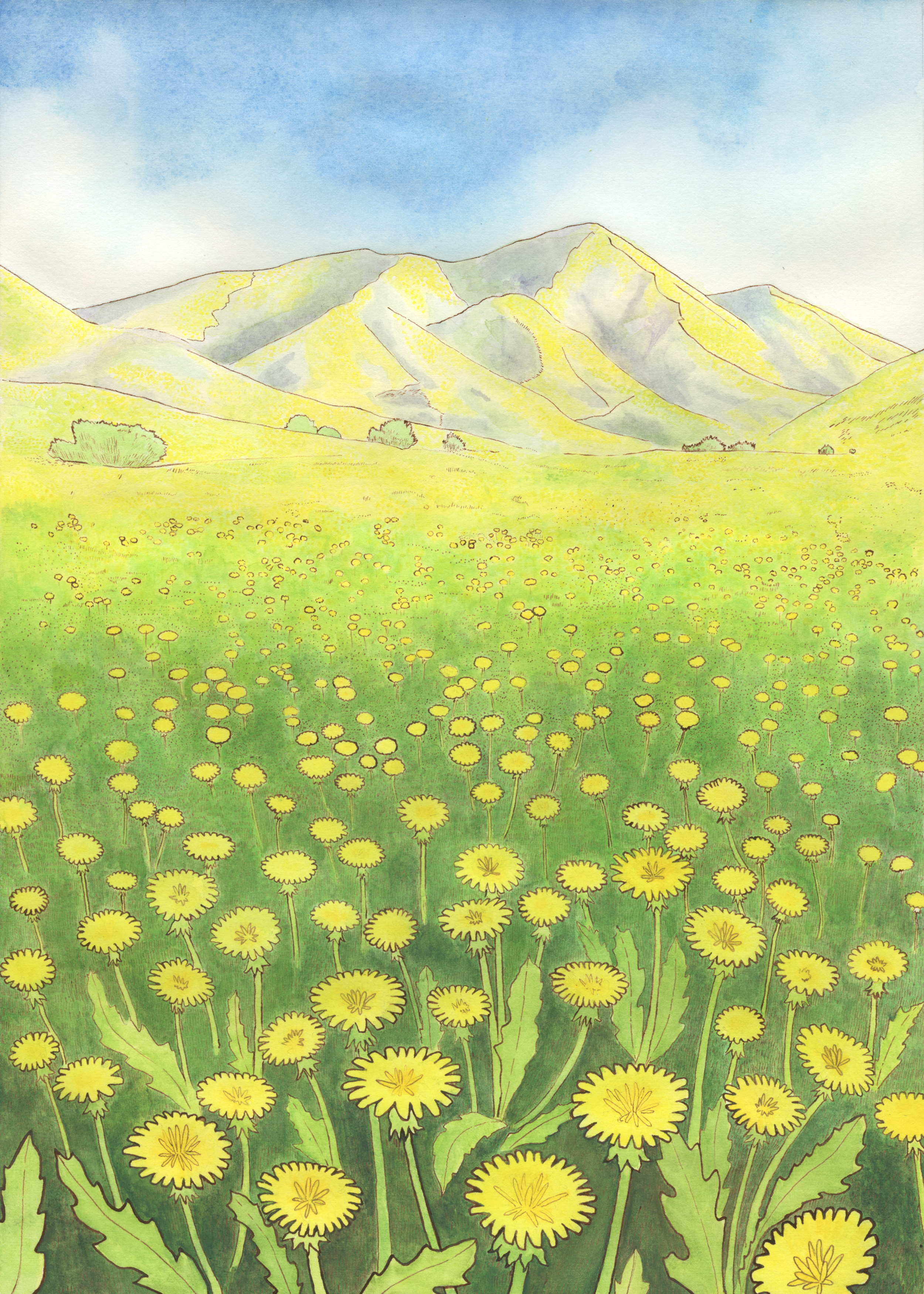Paint 6.png