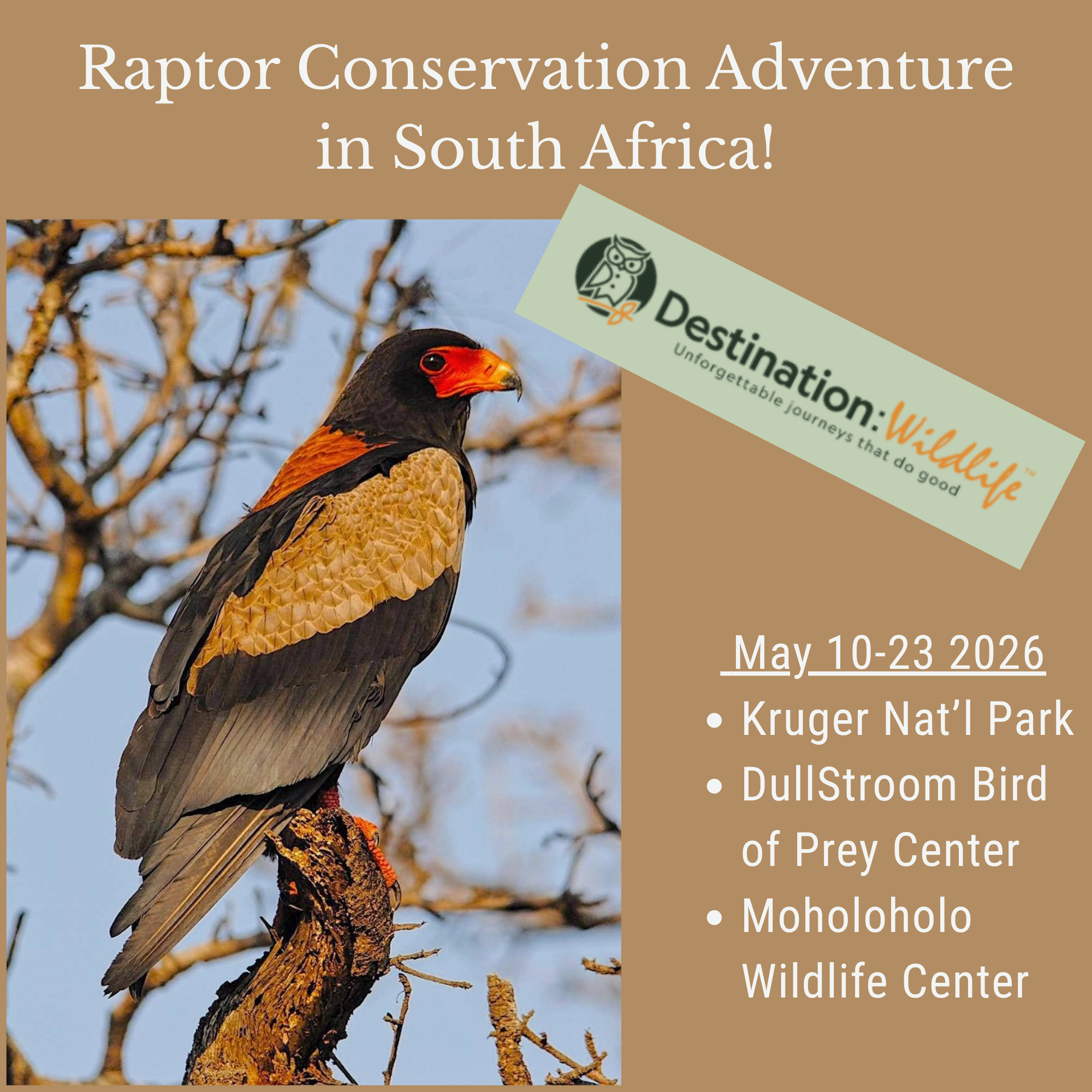 The Raptor Trust | Bird Rehabilitation and Education Center