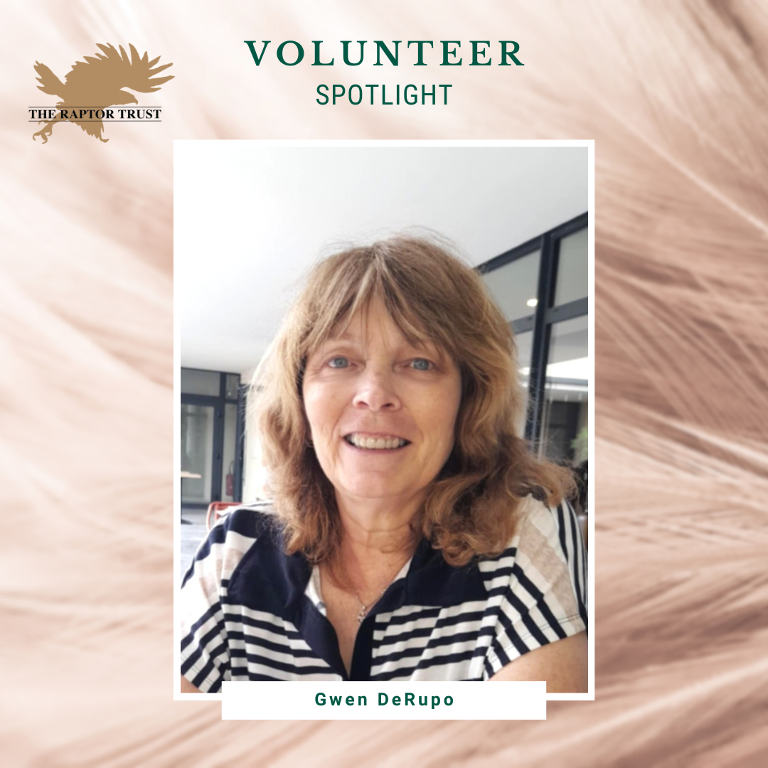 Volunteer Spotlight - Gwen DeRupo
