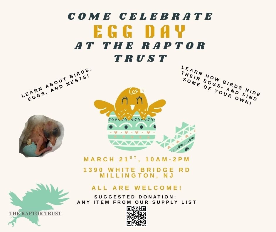 Egg Day