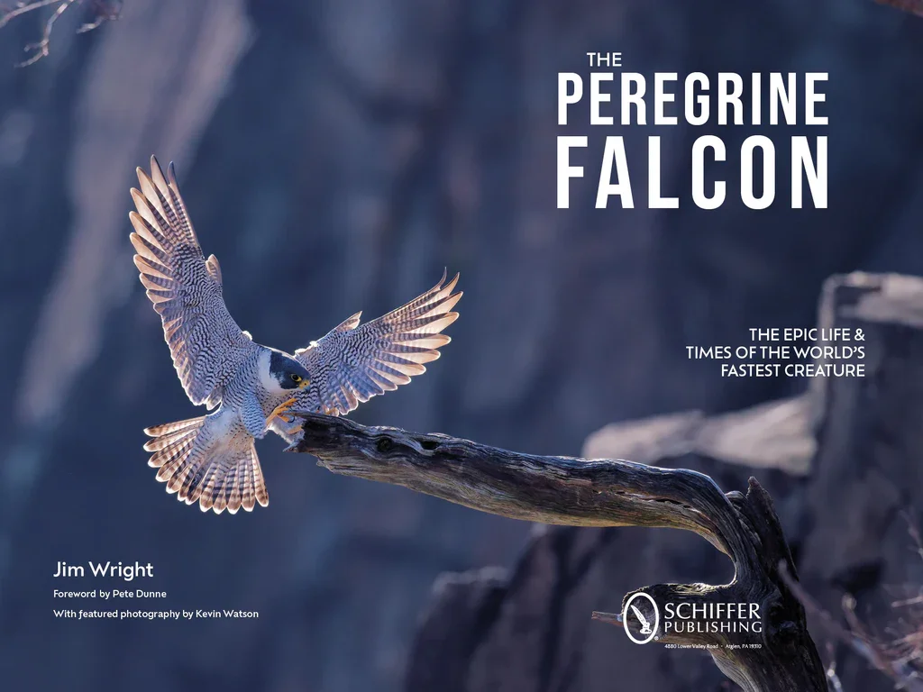Fierce and Fast: The Peregrine Falcon by Jim Wright, Book Signing