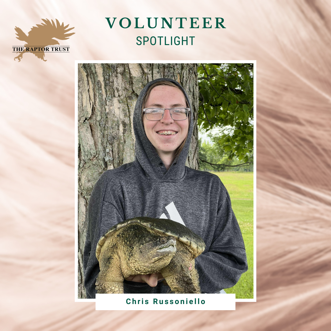 Volunteer Spotlight - Chris Russoniello