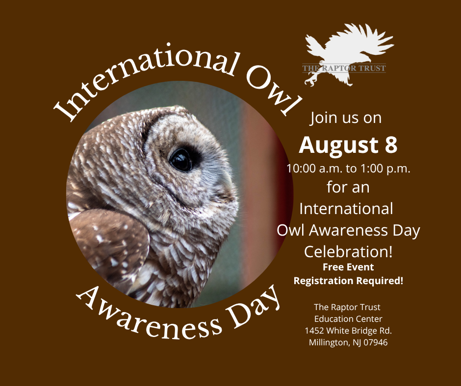 International Owl Awareness Day