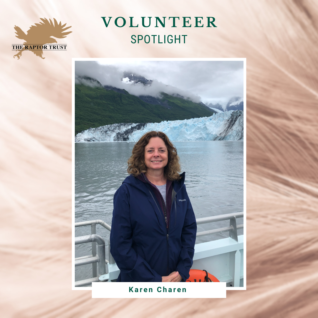 Volunteer Spotlight - Karen Charen