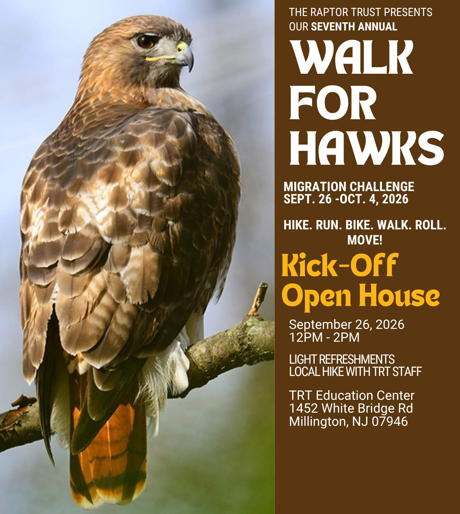 Walk for Hawks
