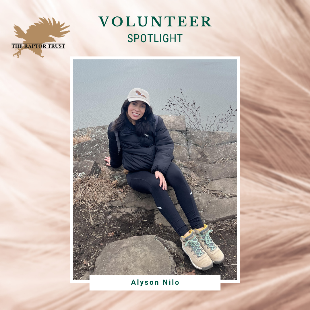 Volunteer Spotlight - Alyson Nylo
