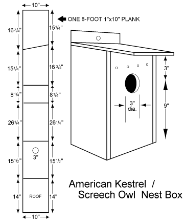 American Kestrel and Screech Owl Nest Box — The Raptor Trust