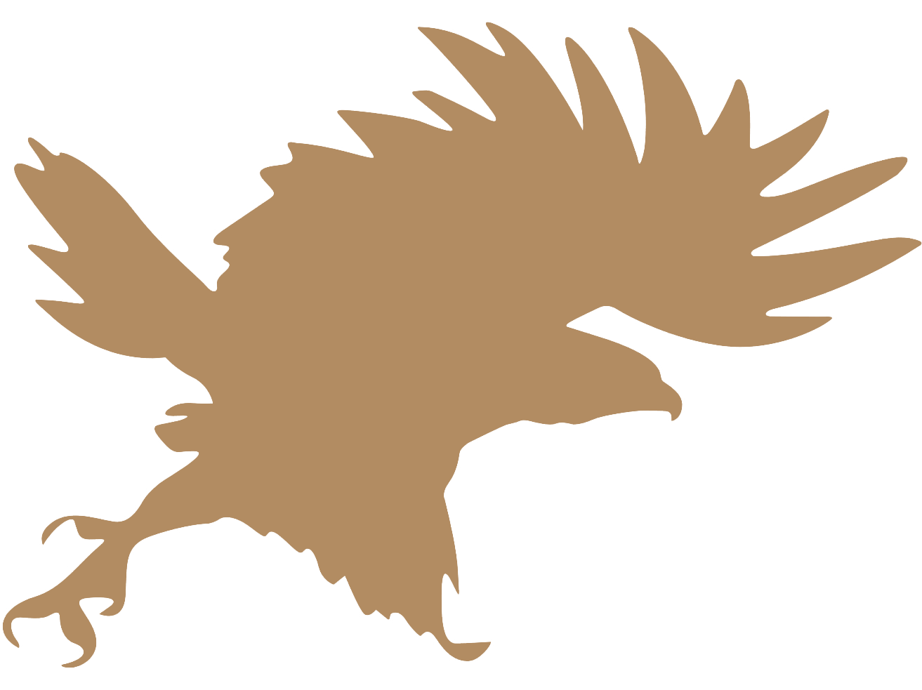 What's a Raptor — The Raptor Trust
