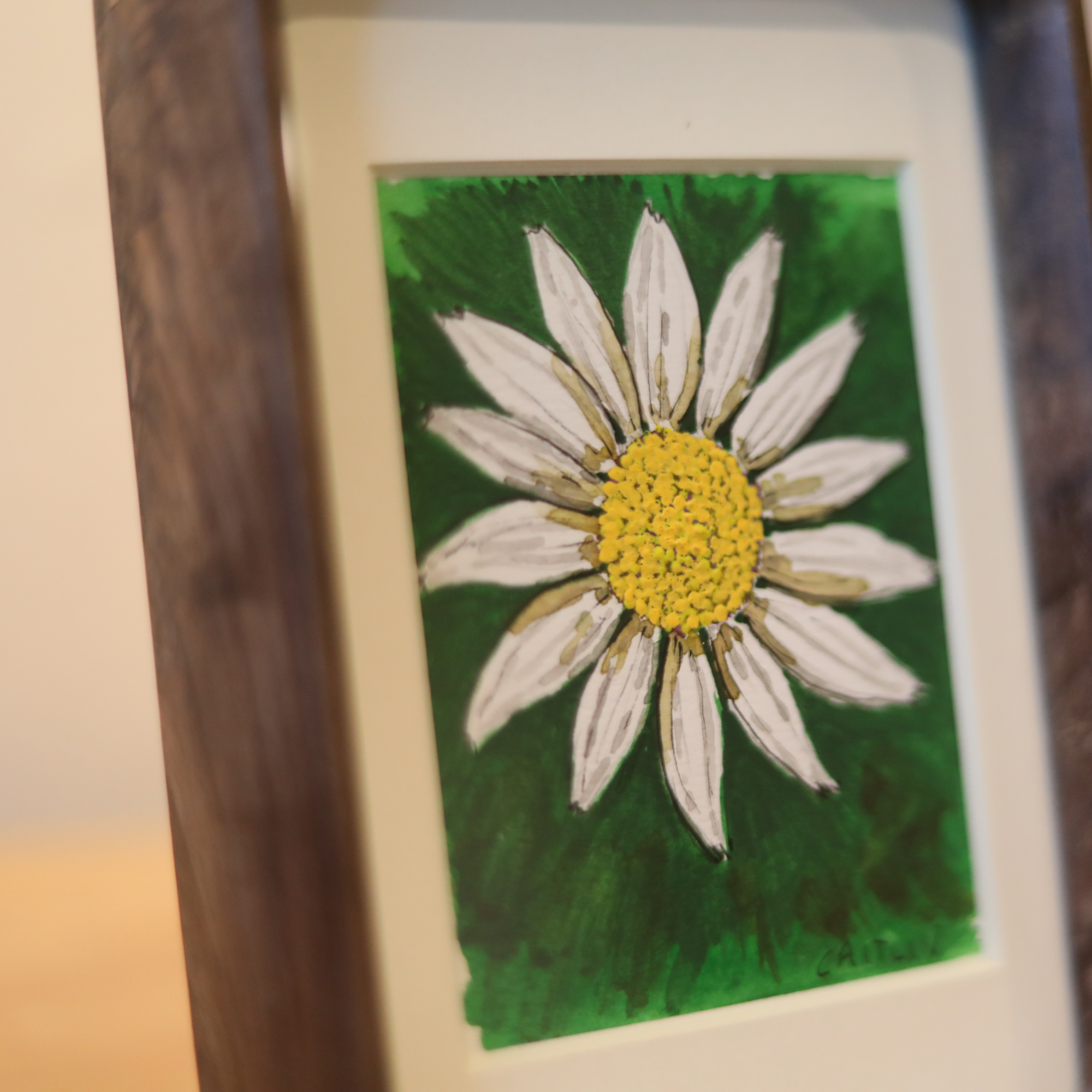 tiny art_white daisy_close.png