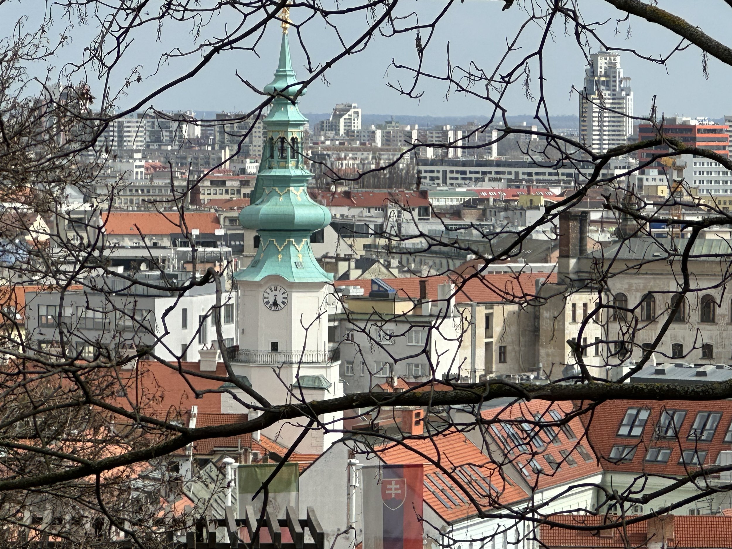 IMG_1945.jpeg