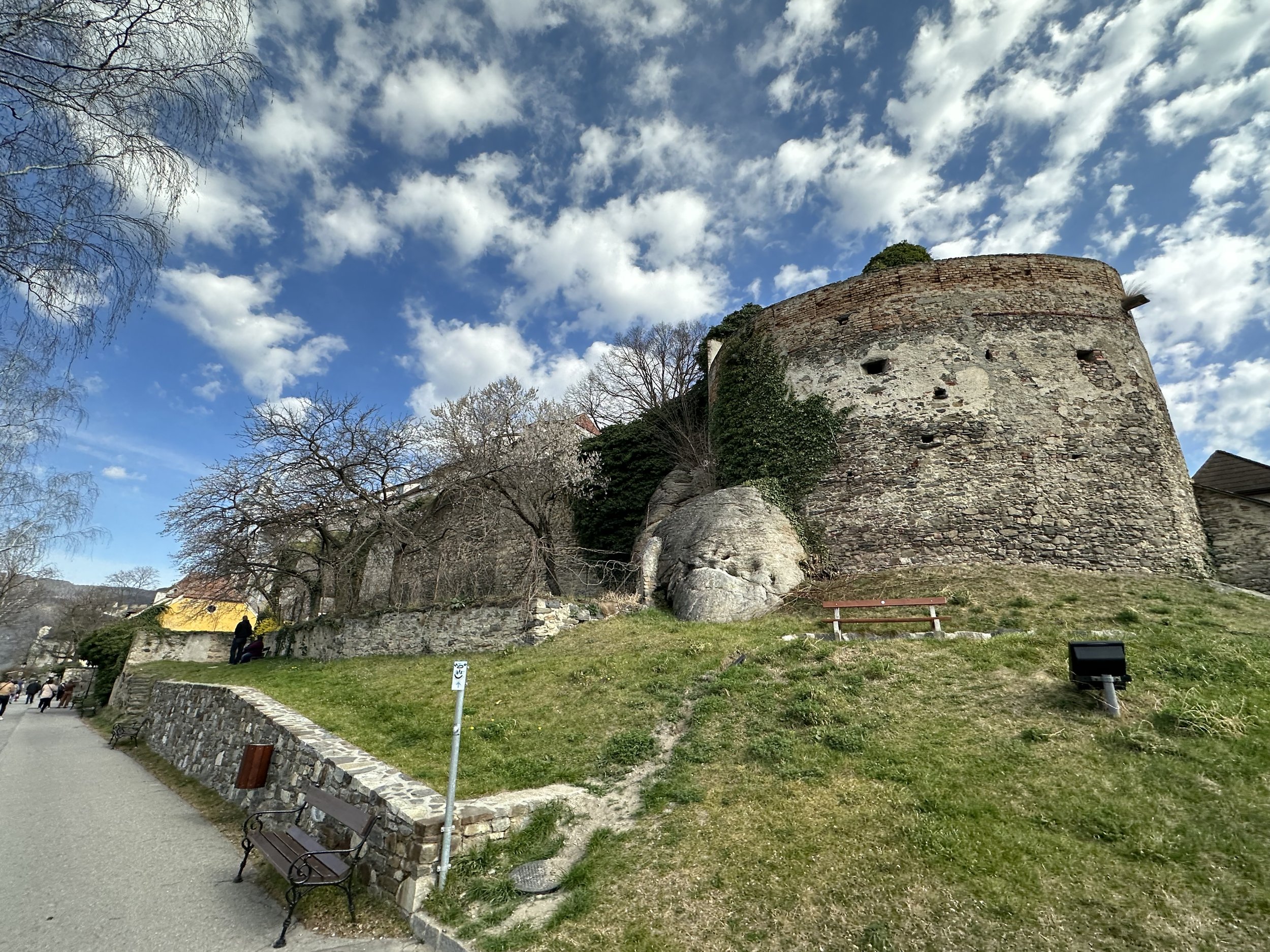 IMG_2471.jpeg