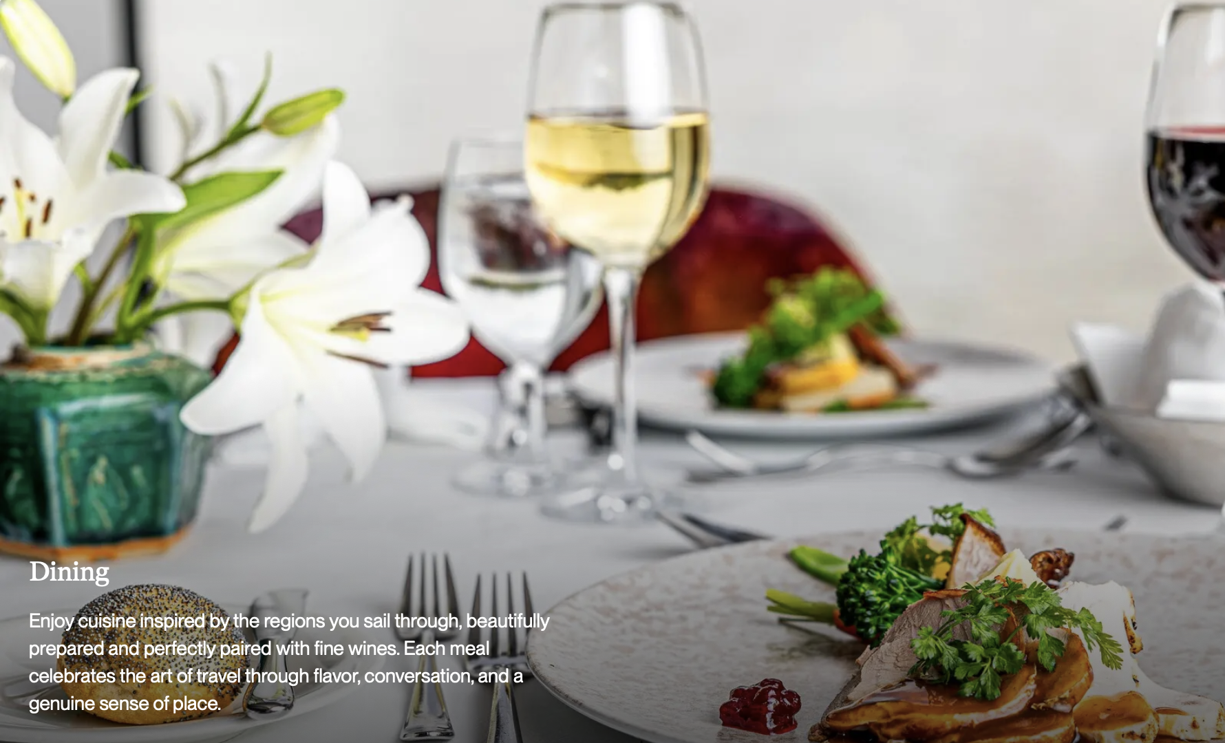 AMA Magna  Cuisine.png