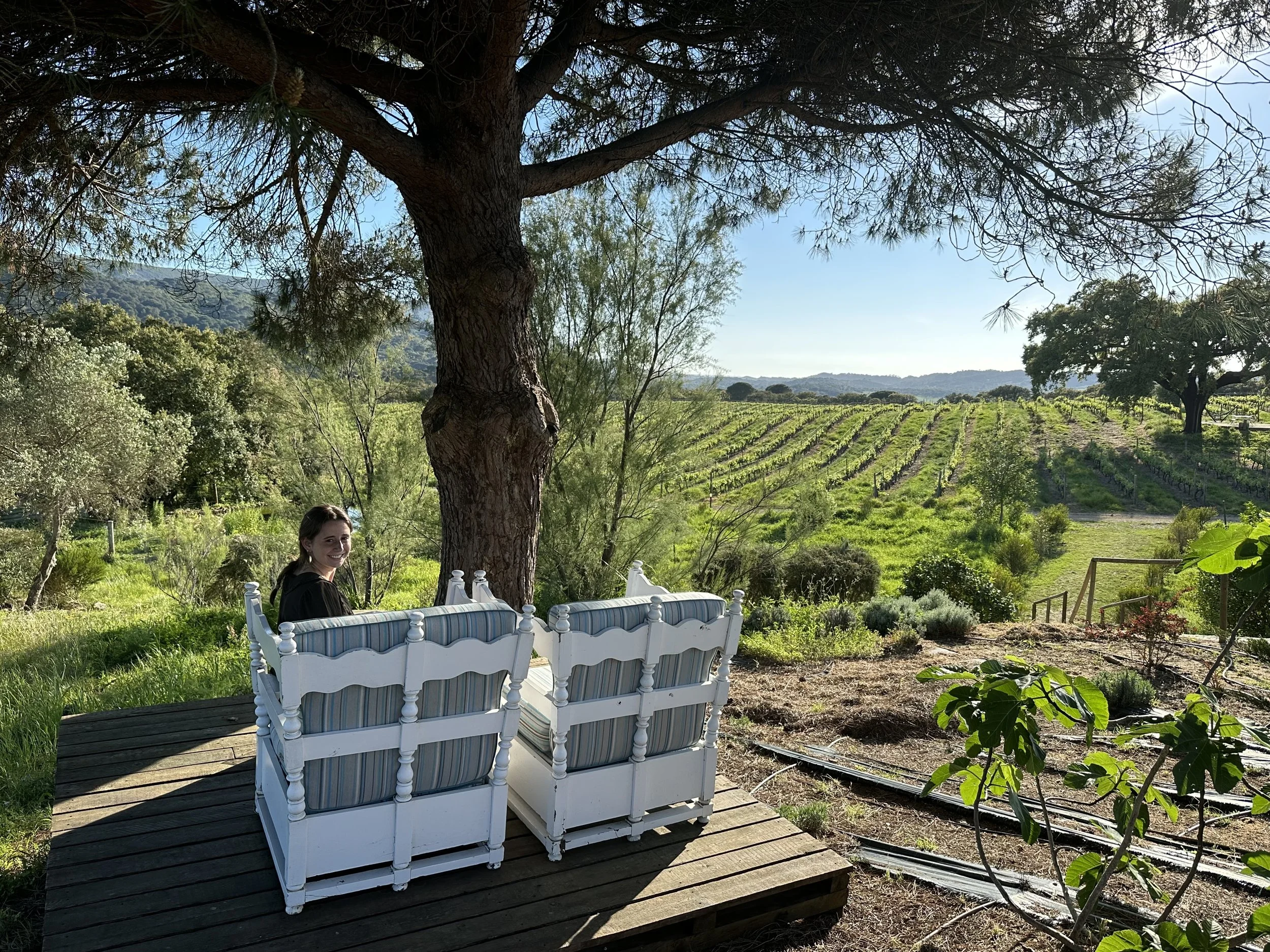 Casa Palmela: A Luxury Gem Just Outside Lisbon ~ Vineyard Elegance Near the Shores of Arrábida