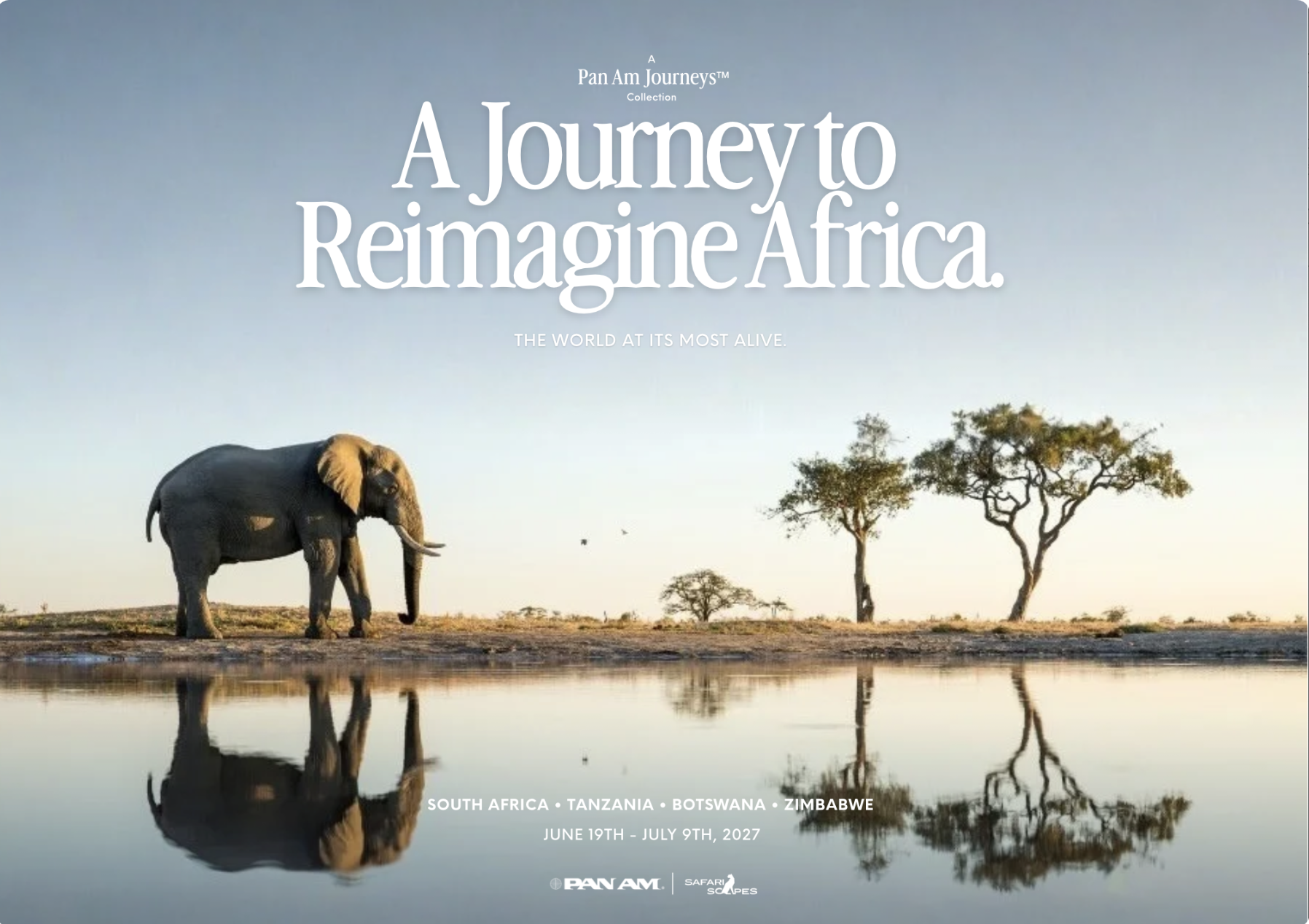 A Journey to Reimagine Africa Image of Elephant