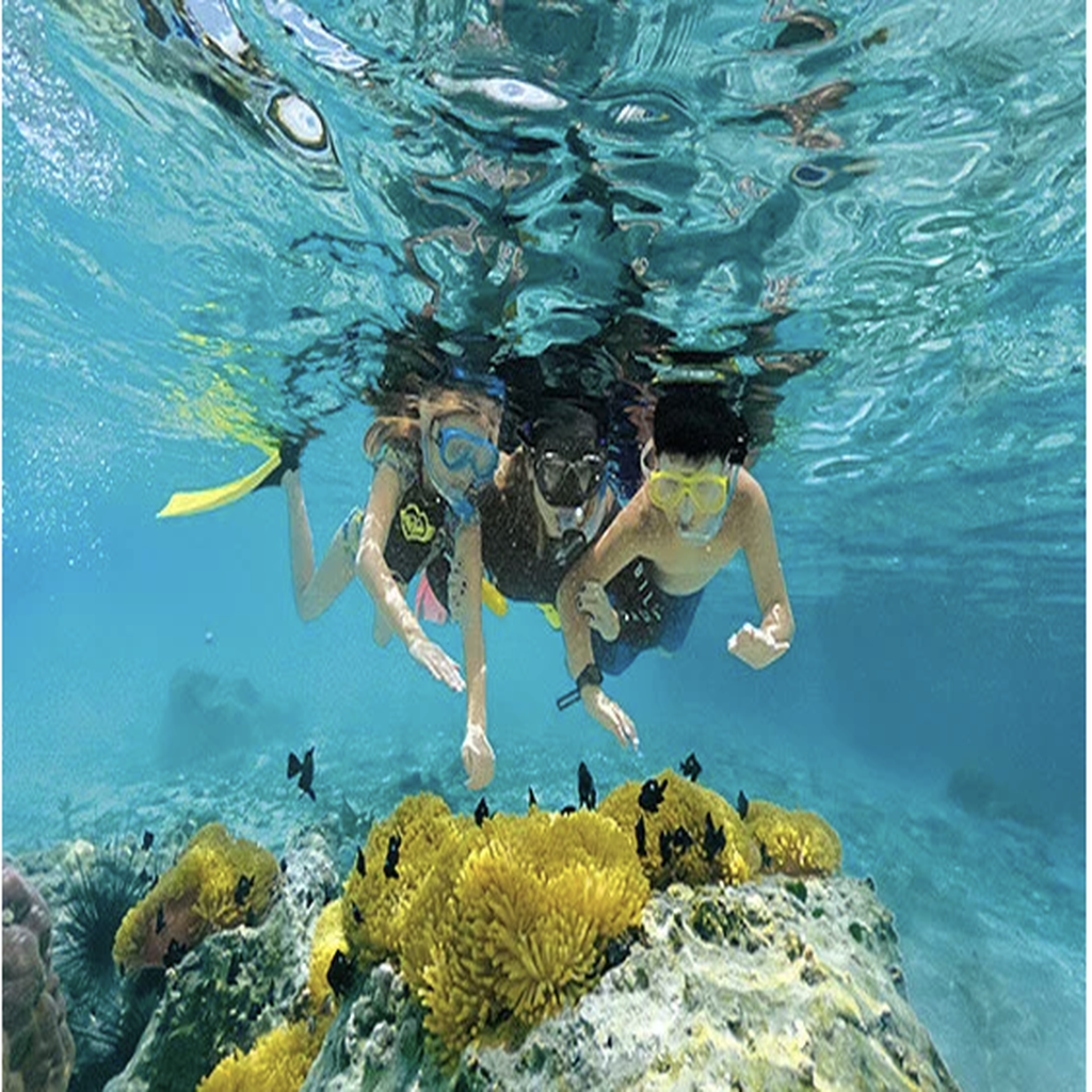 Three children snorkeling underwater, observing coral reef and small fish.