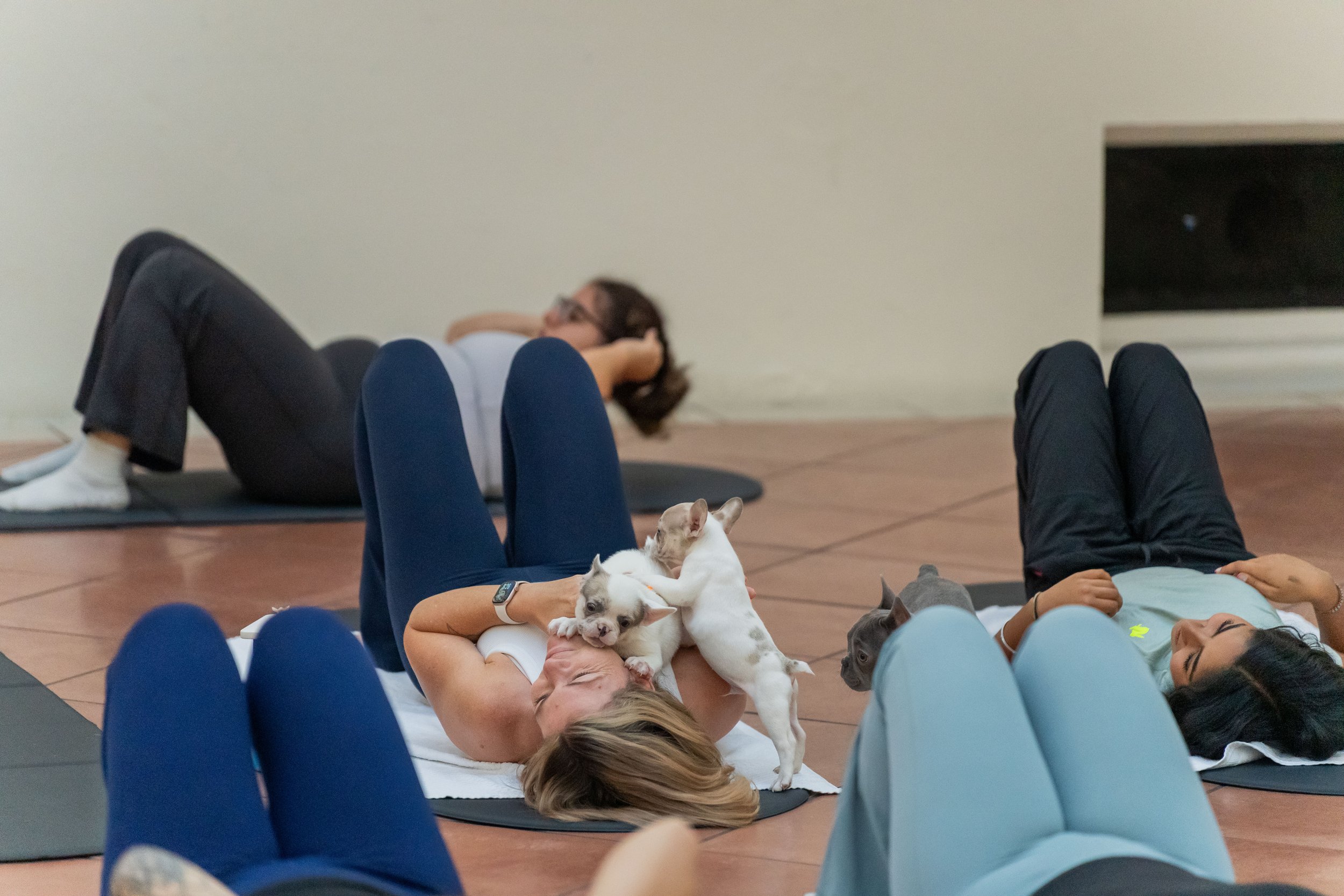 People lying on the floor participating in a relaxation or yoga class, some with small dogs sitting or lying on their bodies and a woman relaxing with her hands behind her head.