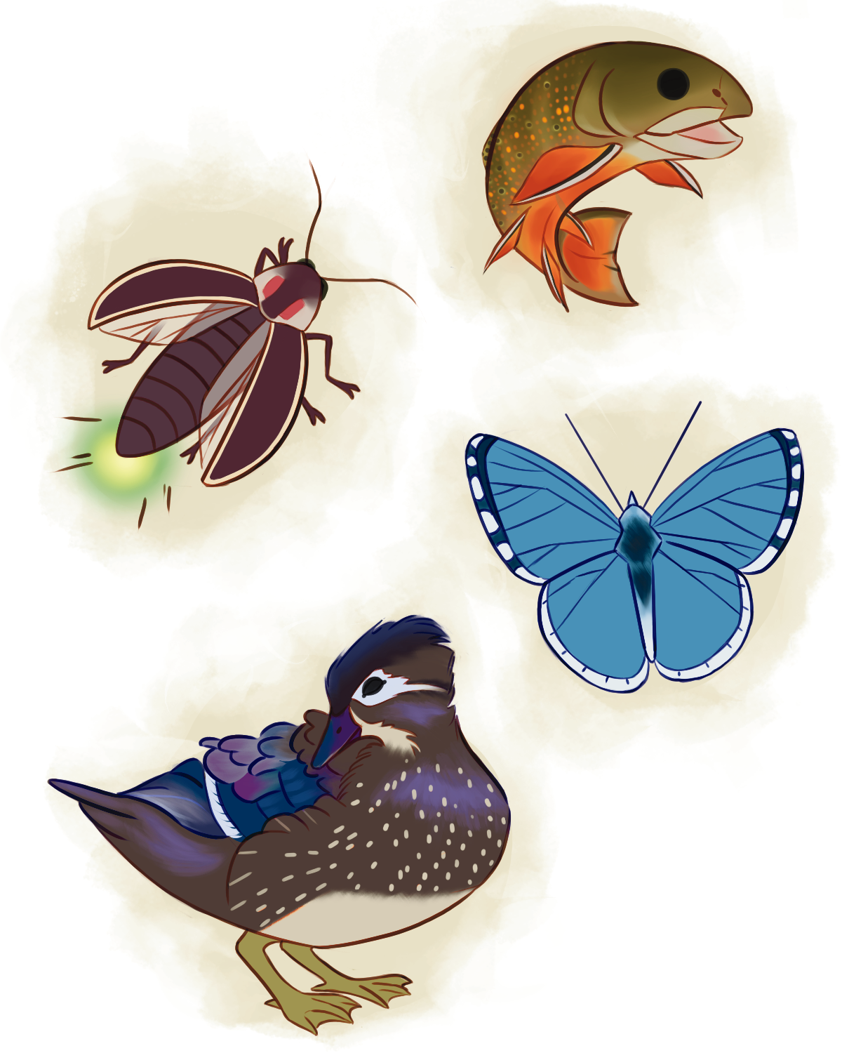 fishduckfiflybuttfly.png