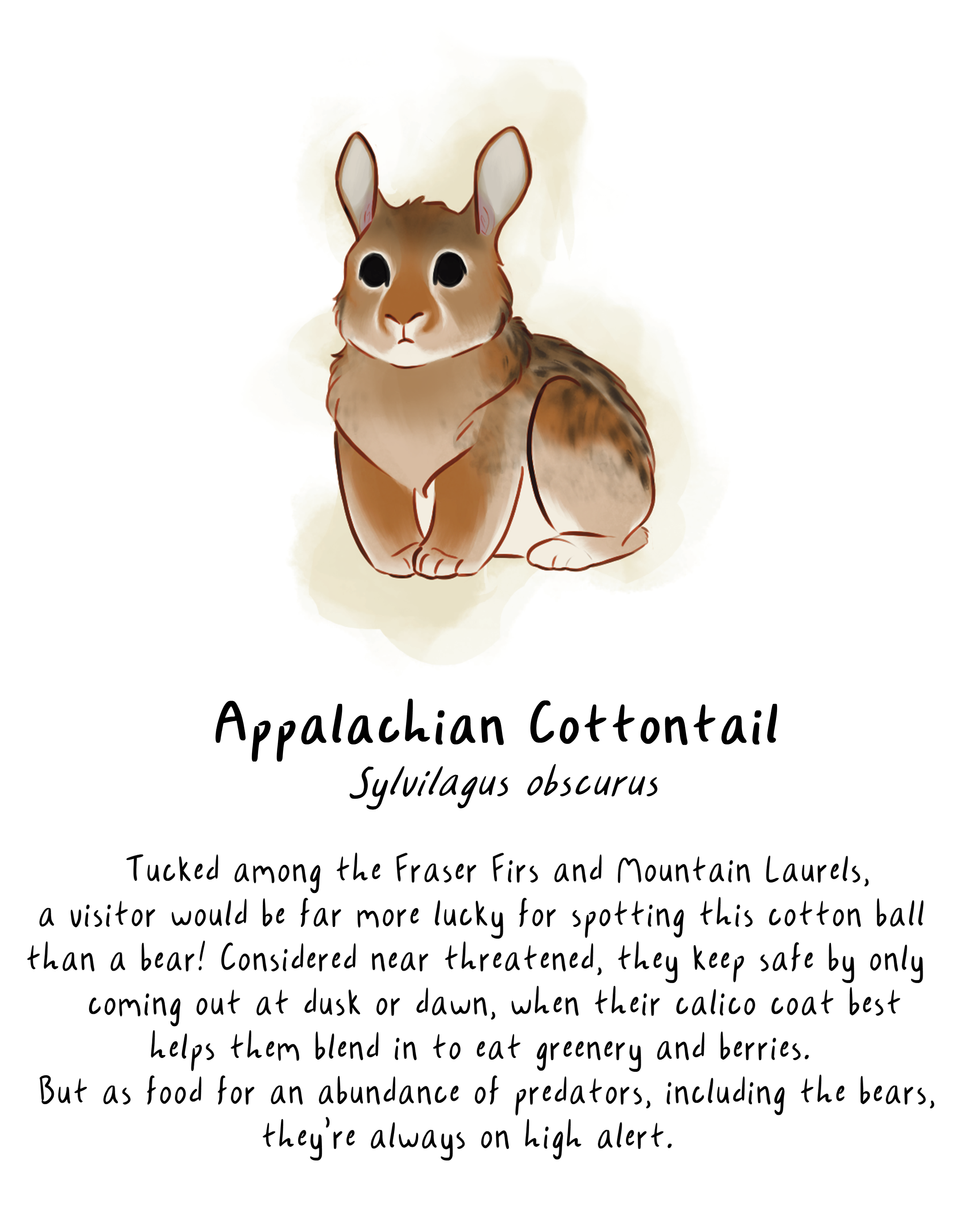 solobun.png
