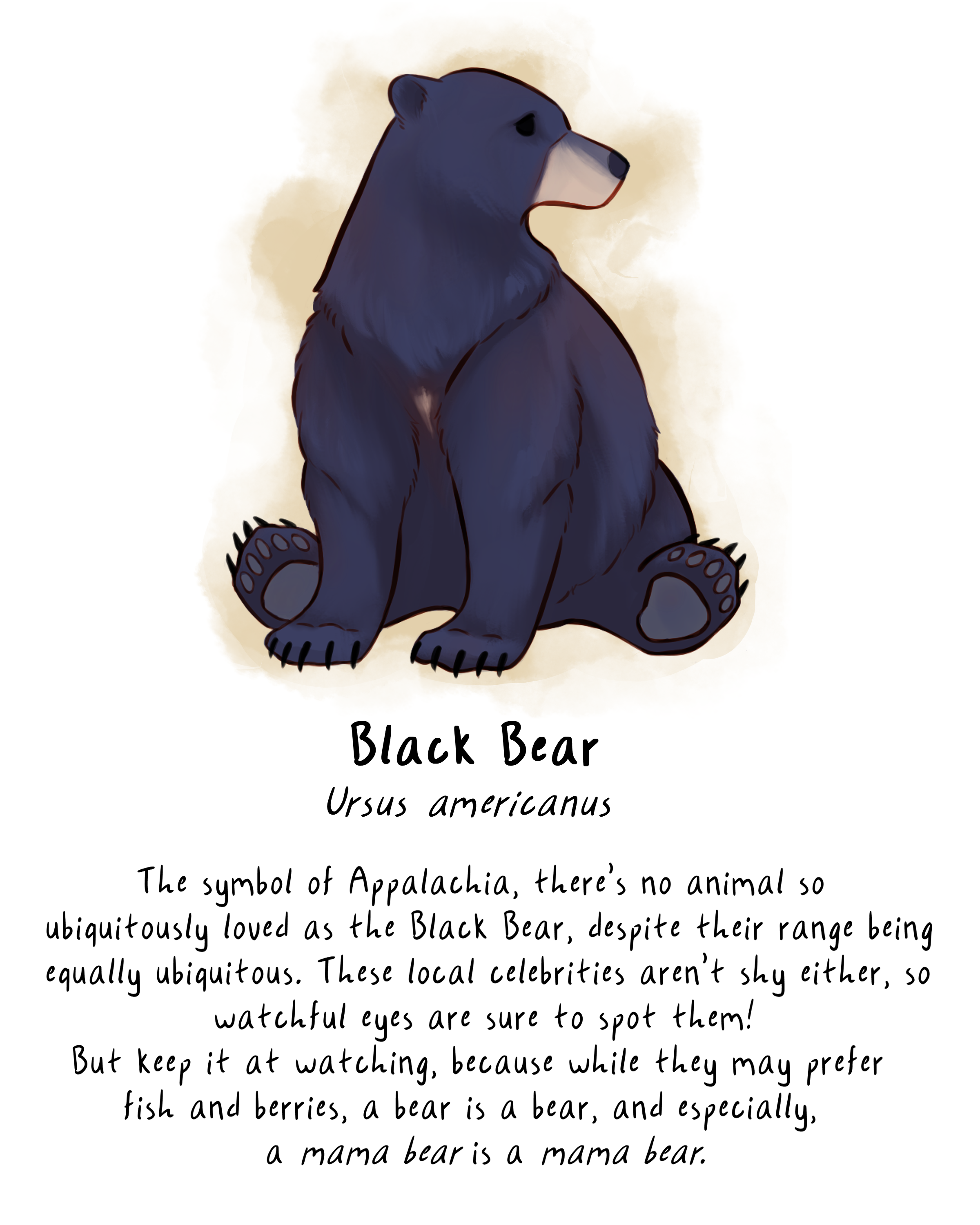 solobear.png