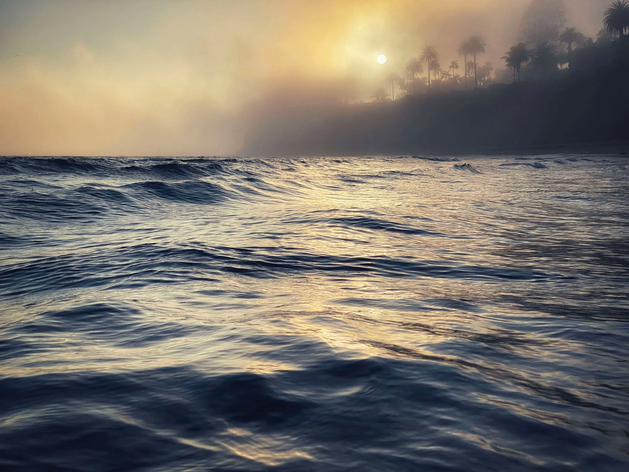 AbovetheSurface.jpg