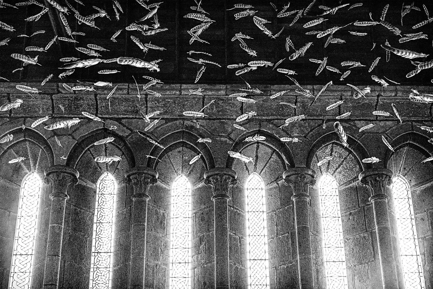 Feathers&Stone.jpg