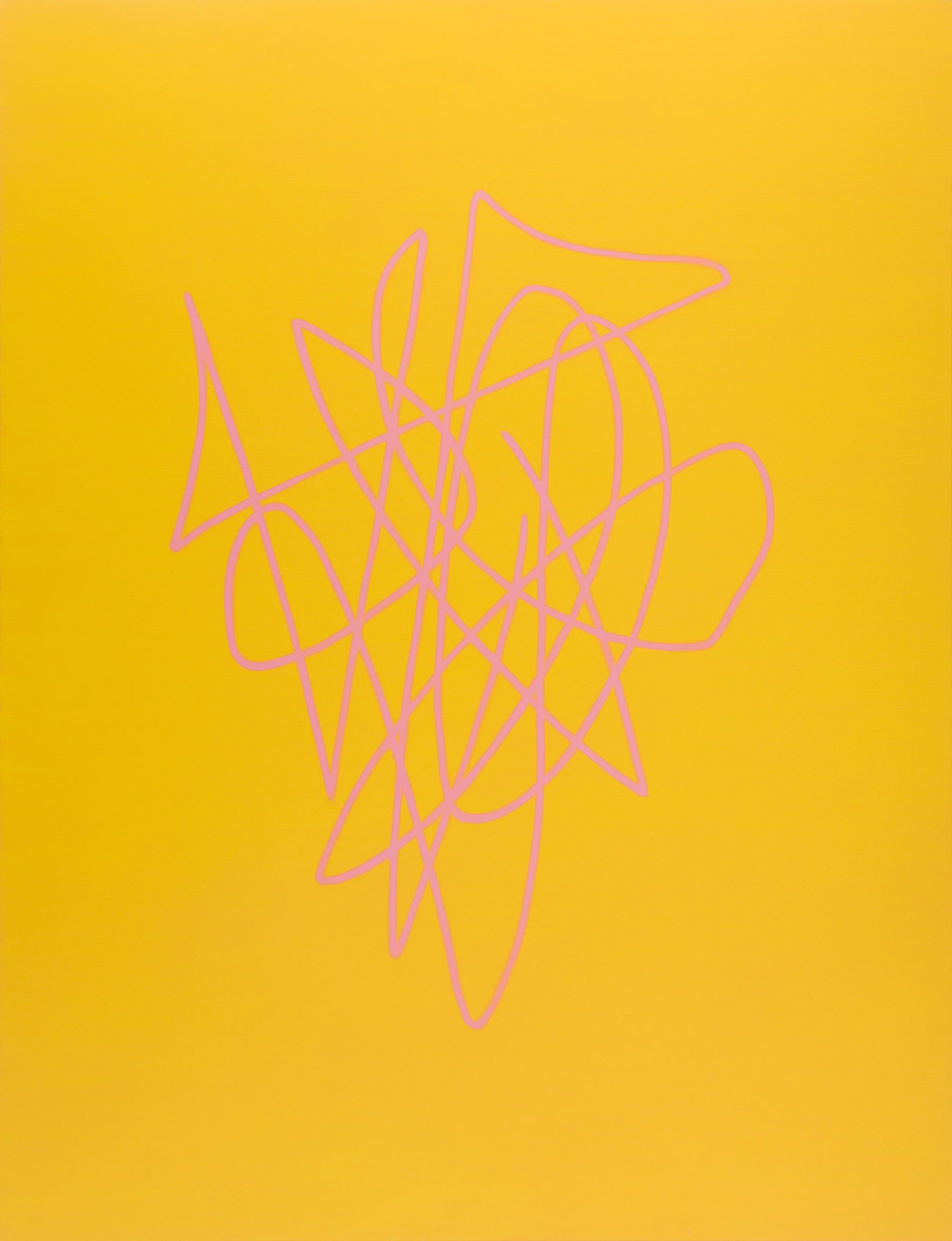 Big Flowers Smell Twice As Bad, 2018
acrylic & oil on canvas
198 x 167cm POA