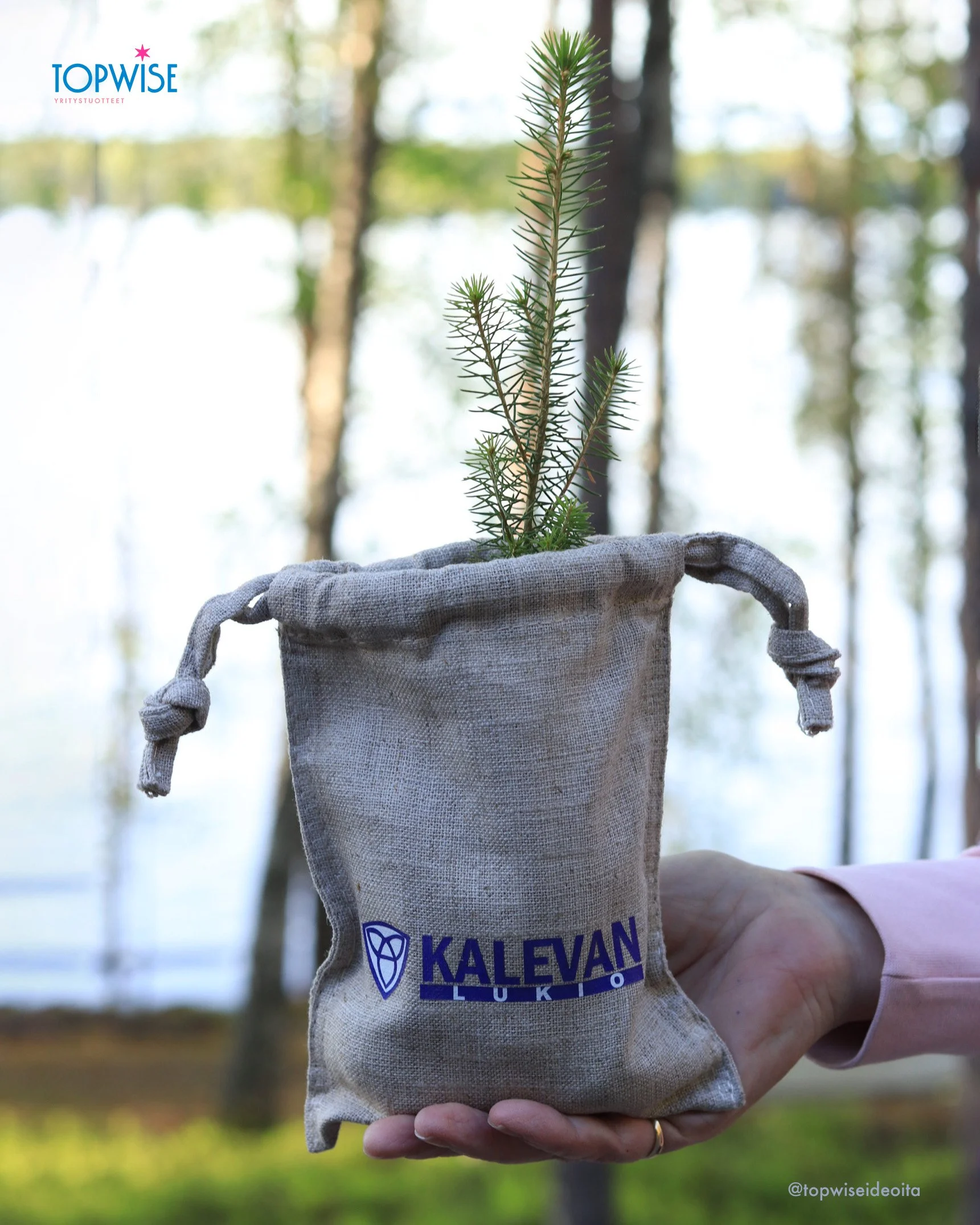 Valmistujaislahja