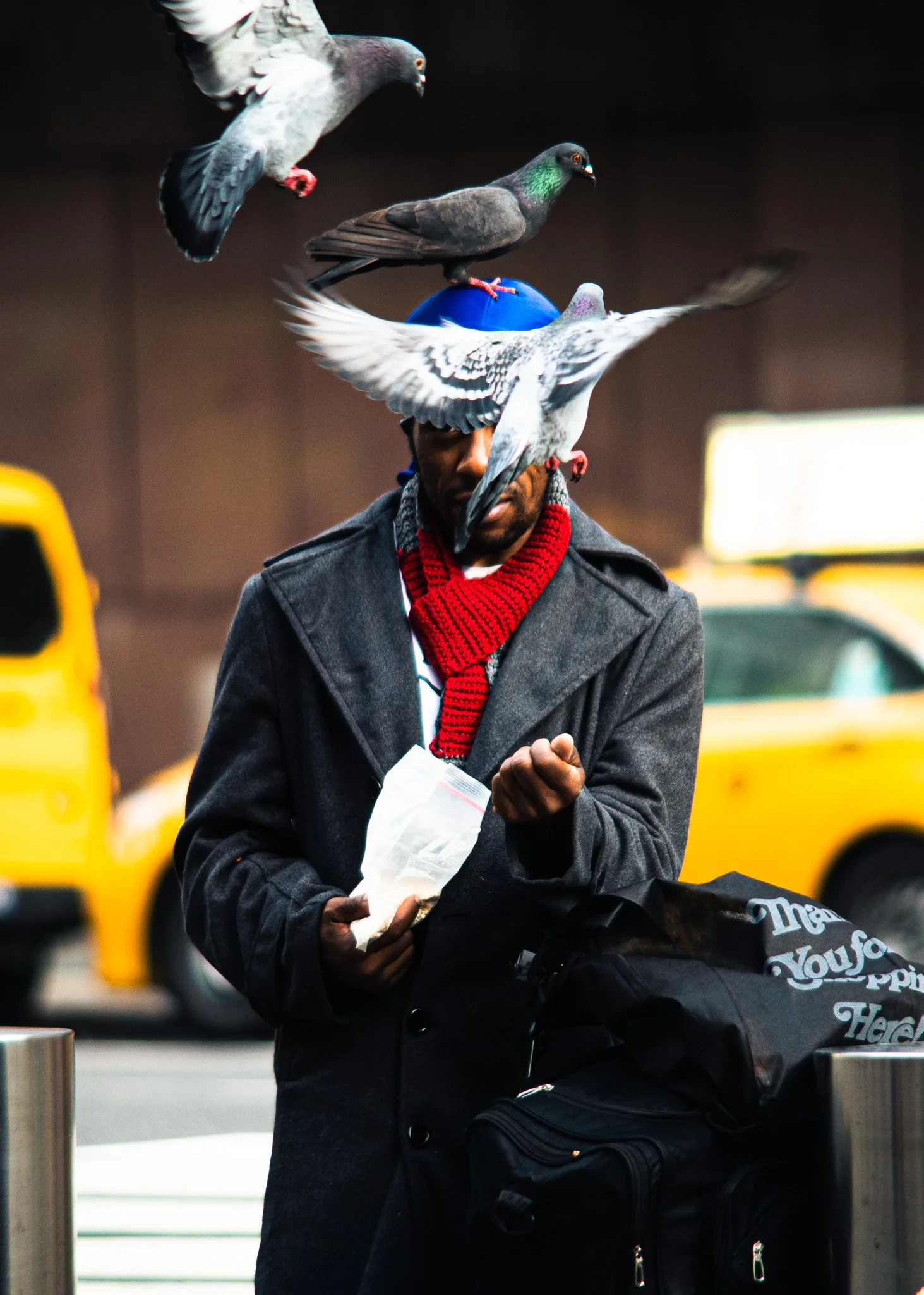 DSC_5437.jpg