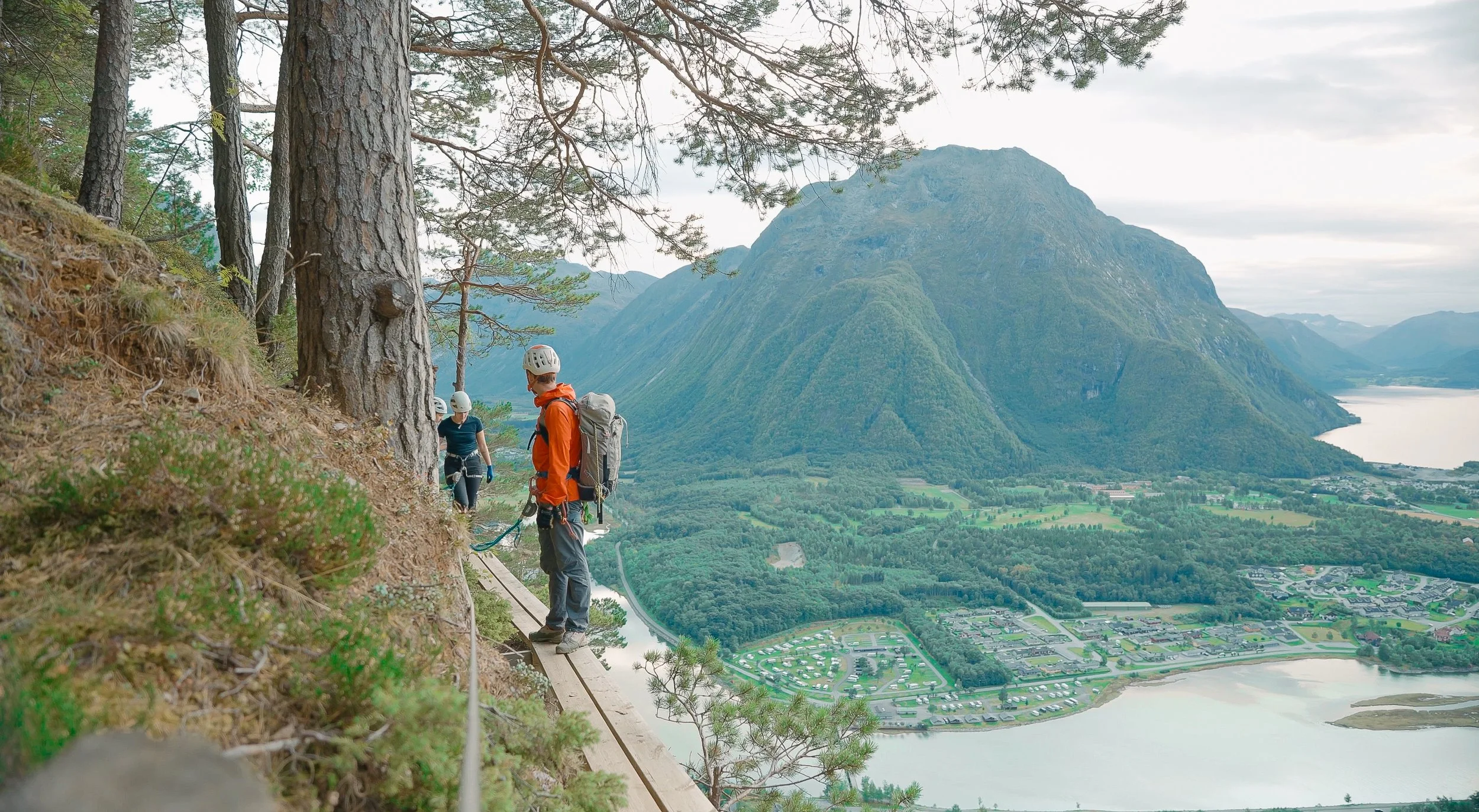 Screenshot 2026-03-13 at 16.59.20.jpg