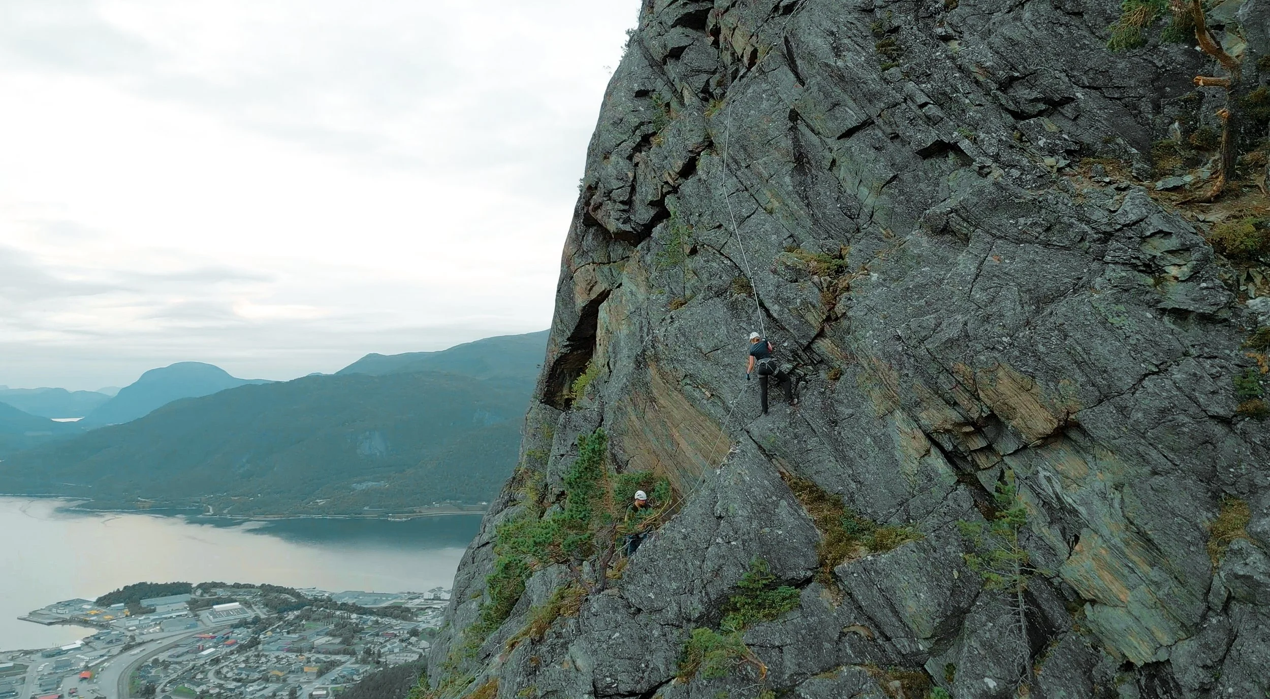 Screenshot 2026-03-13 at 17.01.47.jpg