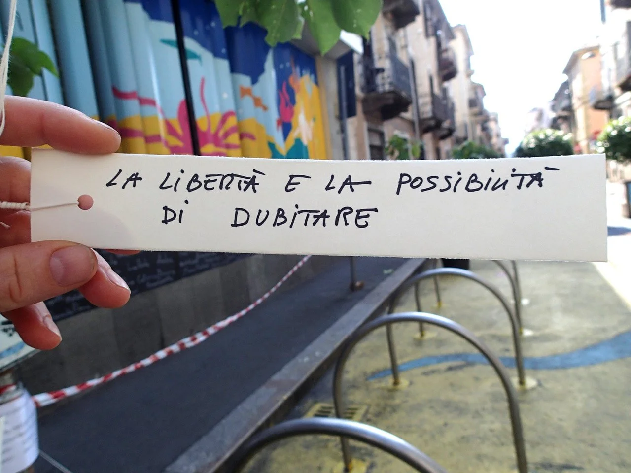 8-P7210545.jpeg