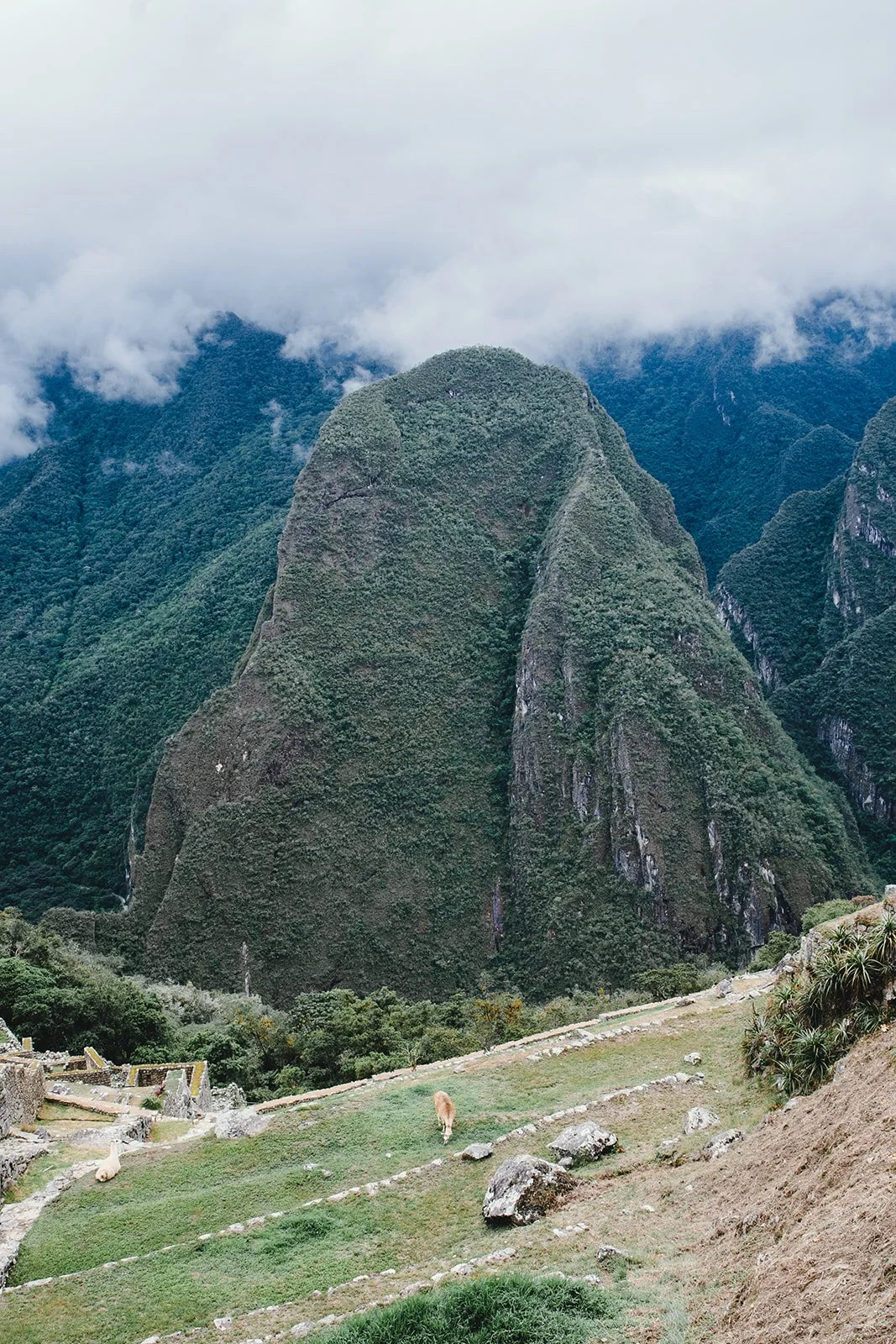 Inhale Retreat_Peru_2023-420.jpg