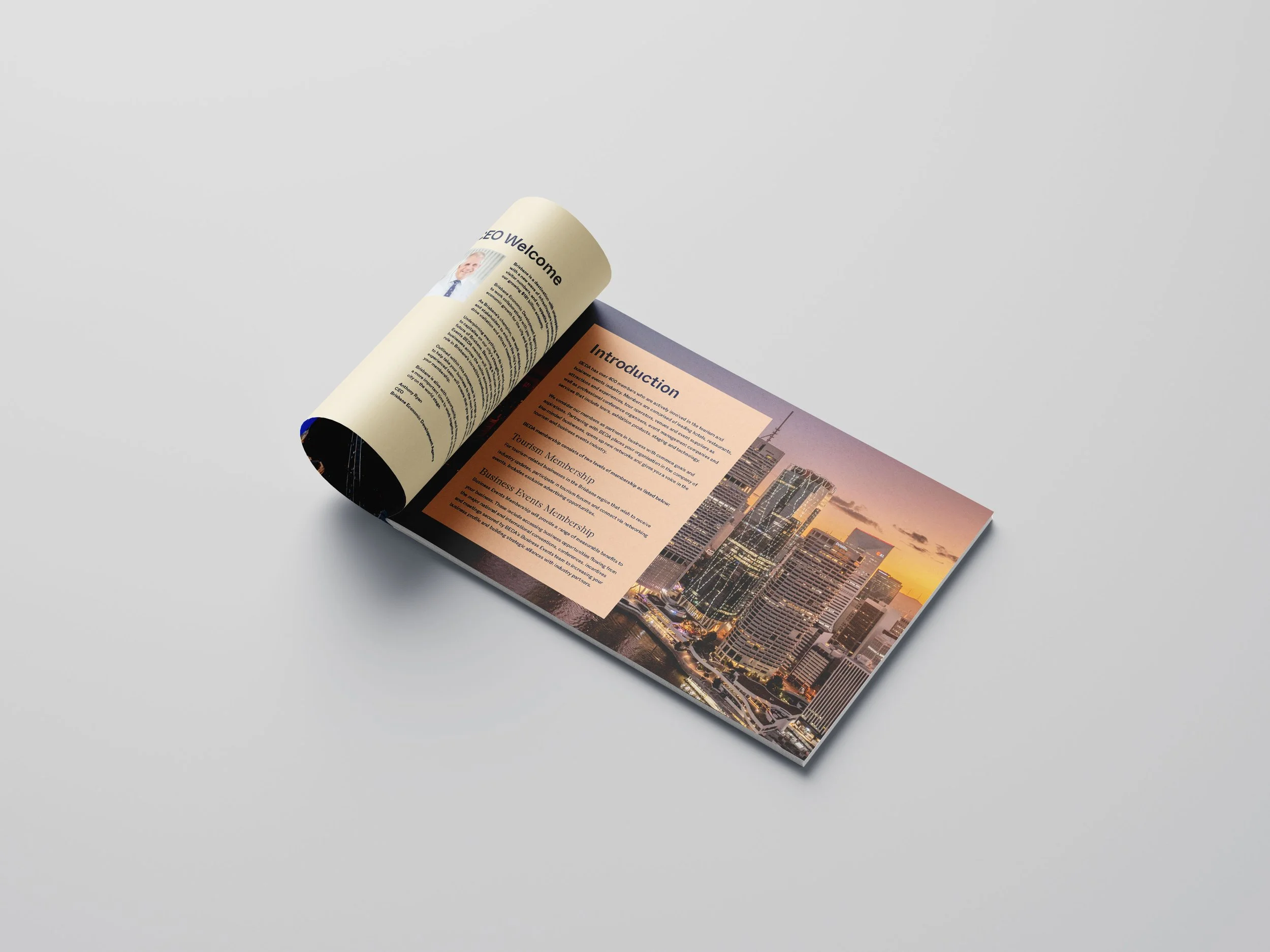 BEDA-BOOK_2.jpg